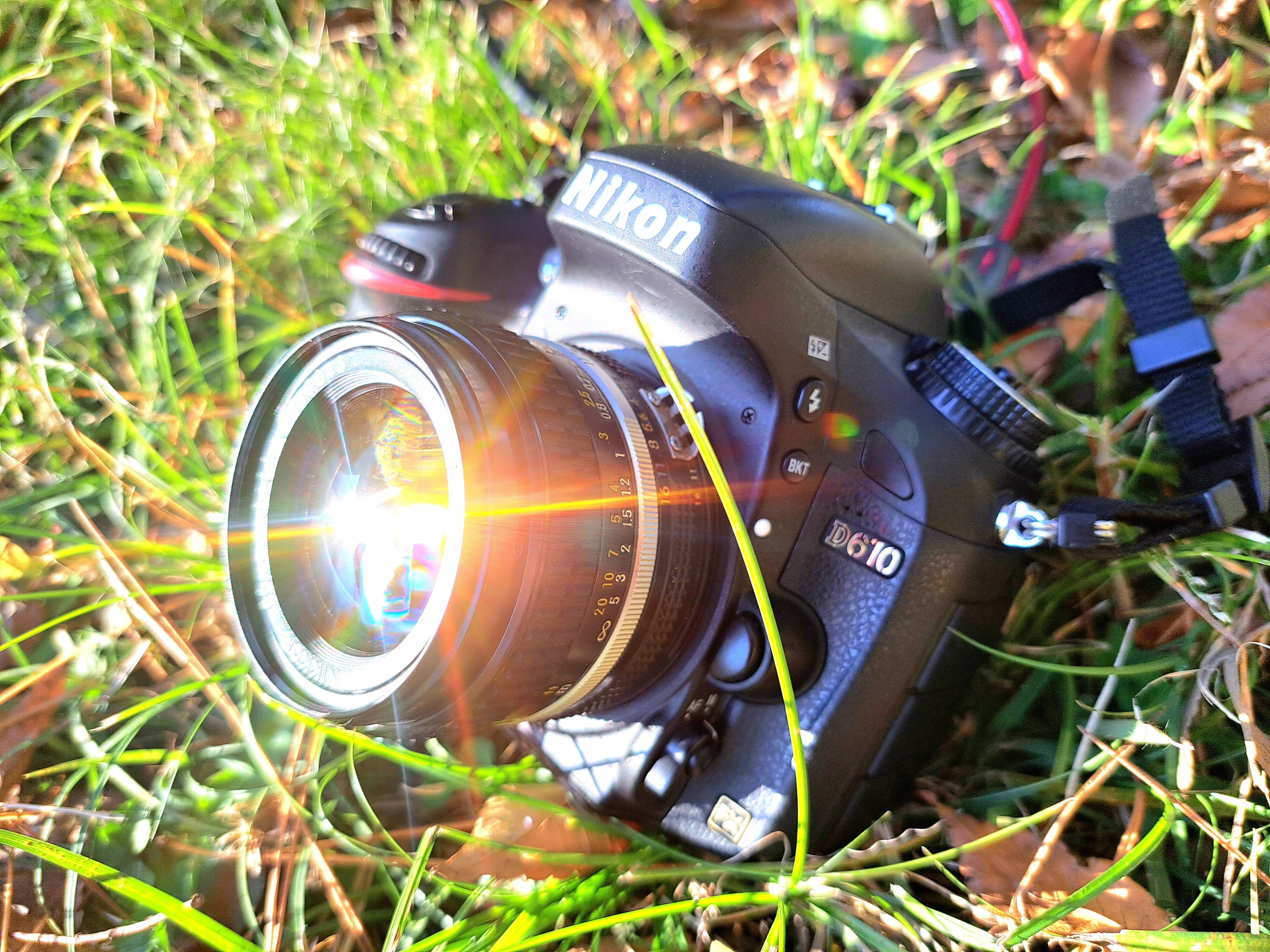 📷 カメラ『を』撮る快楽 D610ちゃん｜GR宮前