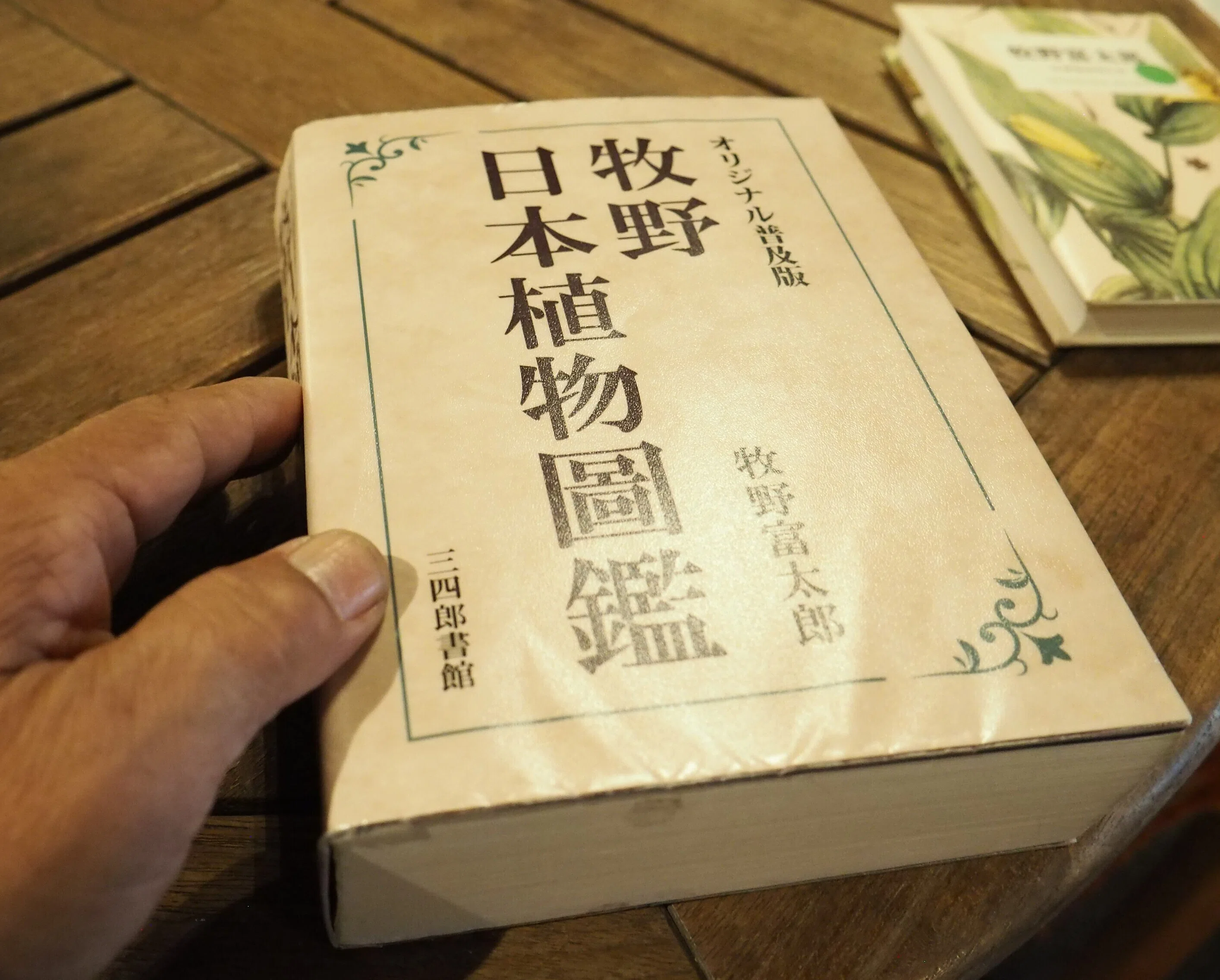 牧野富太郎を支えた幻の画家 山田壽雄の植物図を見た ｜中山道雄