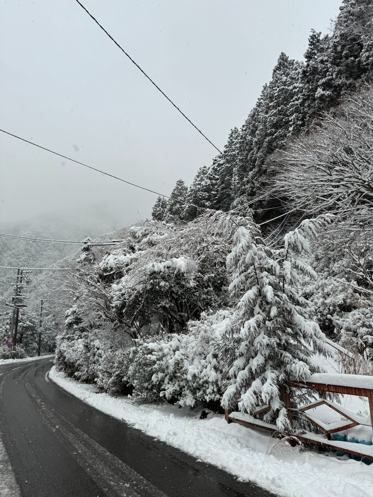 雪景色