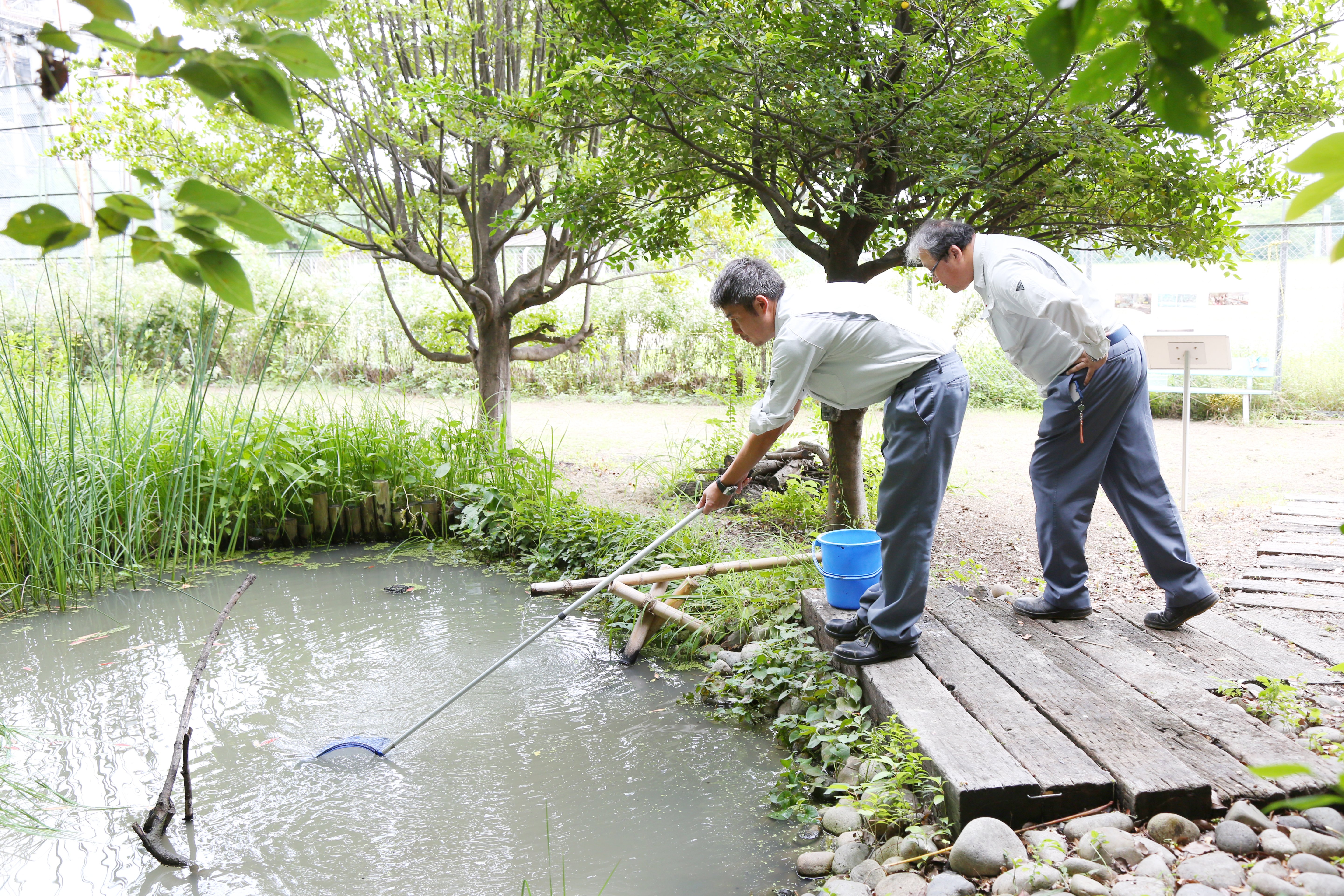 工場内の緑地へようこそ！大人も子どもも楽しめる自然体感イベント