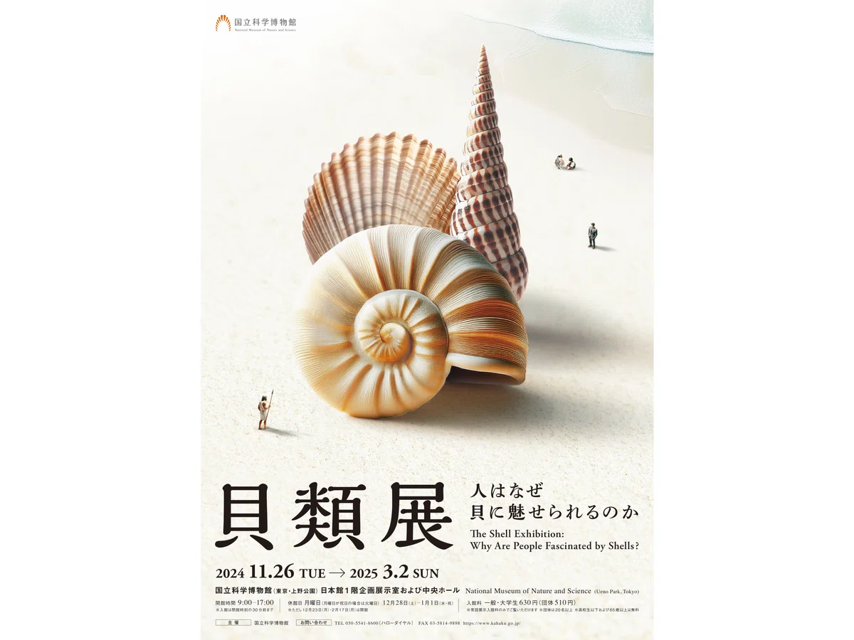 貝に魅せられた人たちによる小さな企画展『貝類展』…上野・国立科学 