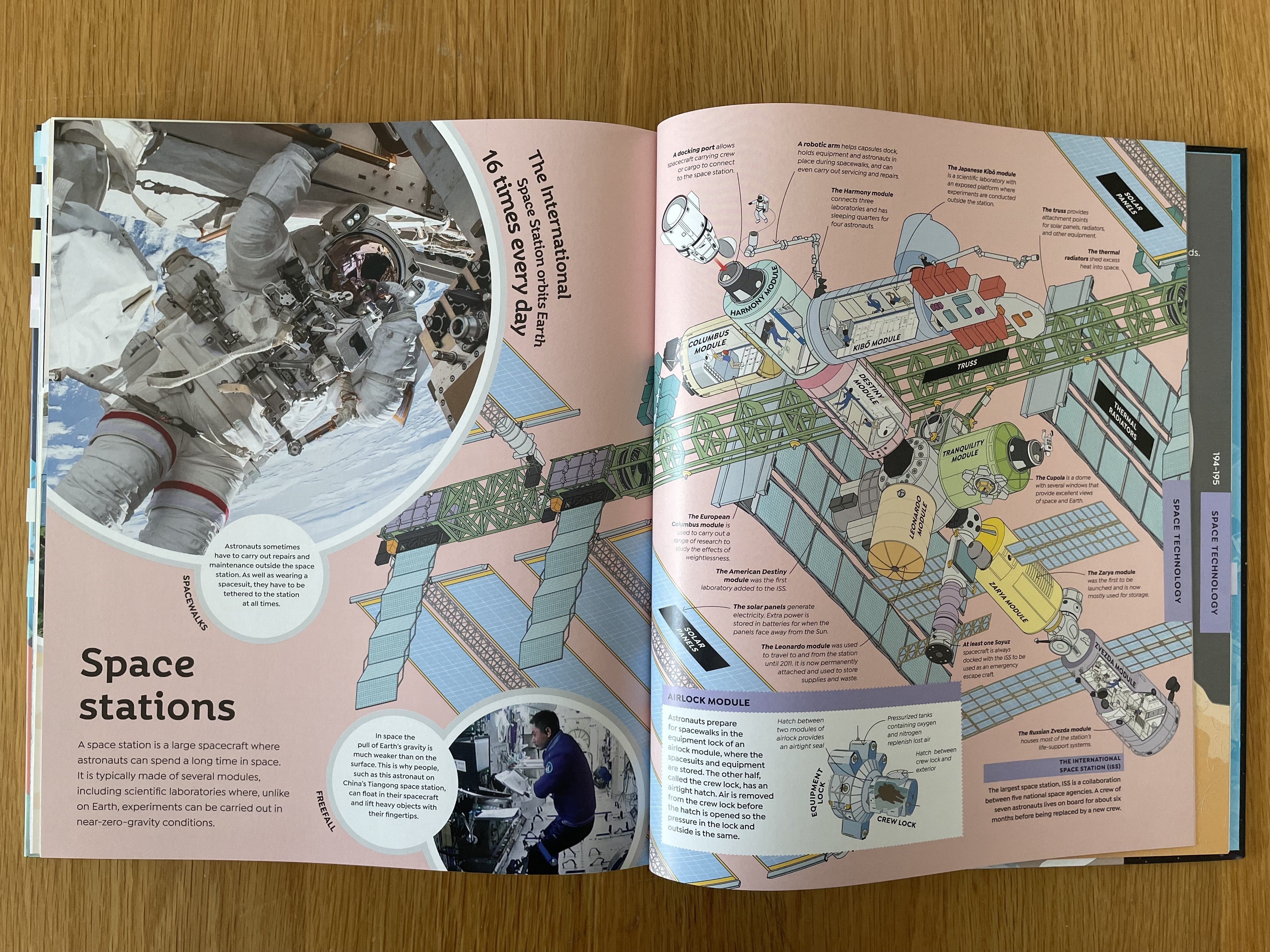 こども向け図鑑で英単語を学ぶ｜Lunzi in UK