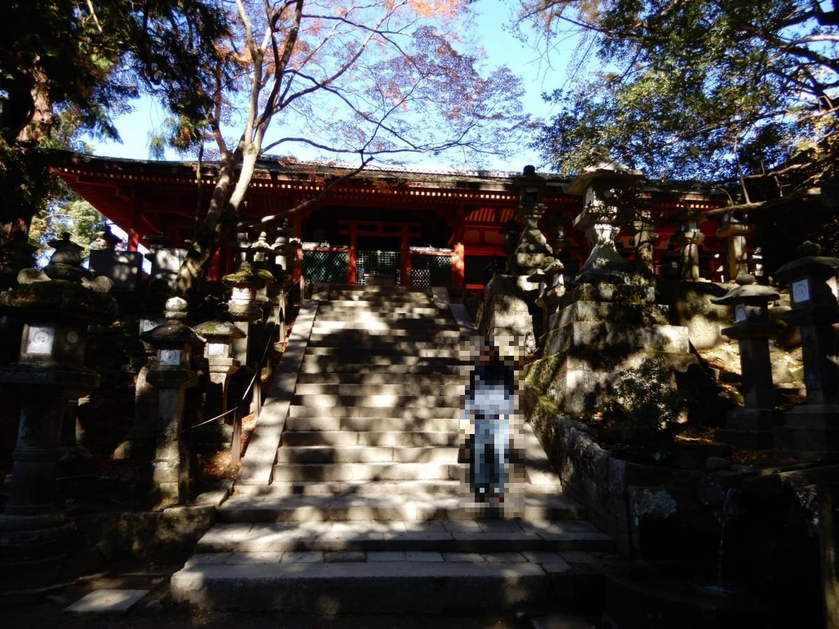 神が詠んだ歌 ～新古今和歌集の神祇歌より｜睦夢夕