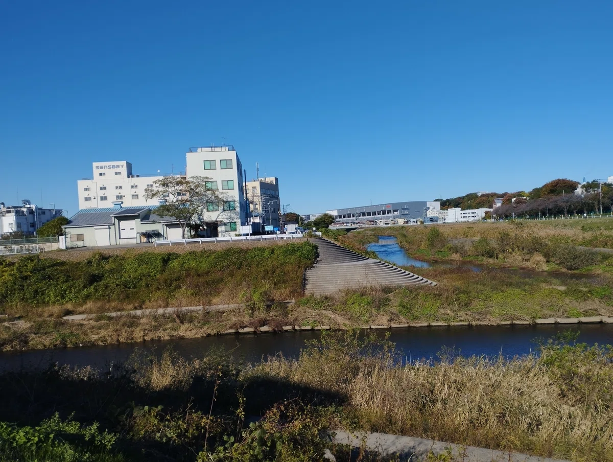 合流点を見たいウォーキング (鶴見川×恩田川)【前編】｜Kutrapi