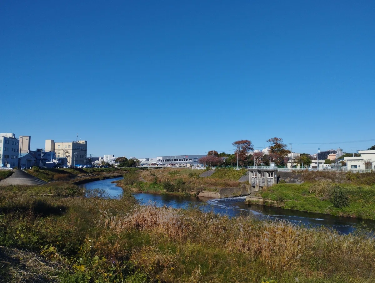 合流点を見たいウォーキング (鶴見川×恩田川)【前編】｜Kutrapi