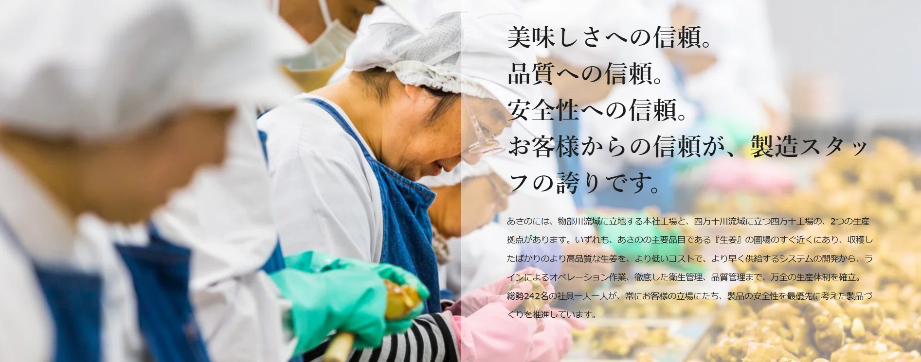 質問いっぱい！ 山田小学校の社会科見学｜(株)あさの@生姜屋／高知県