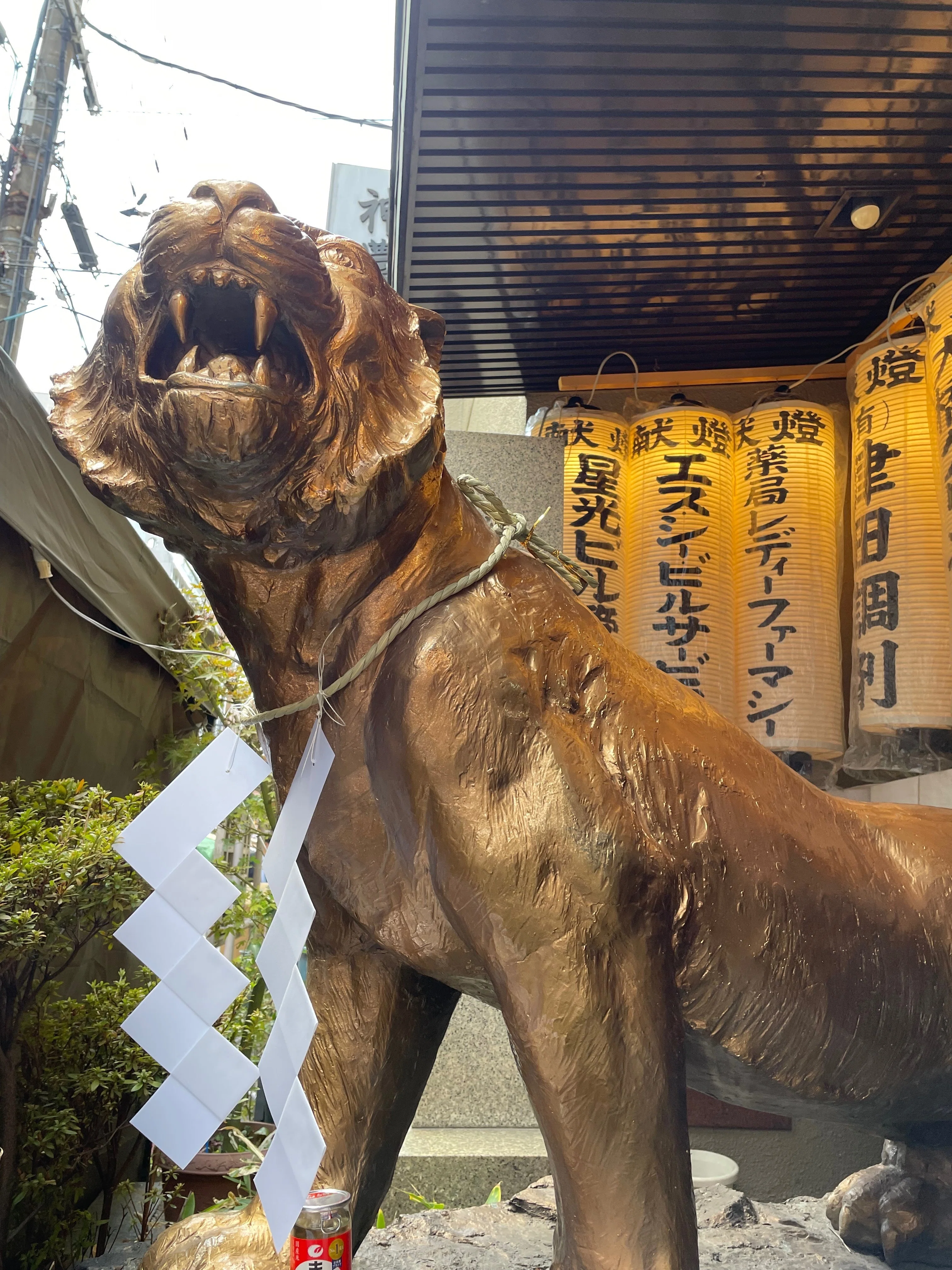 虎と笹で無病息災｜少彦名神社-大阪市中央区道修町｜タマオ📚言葉を