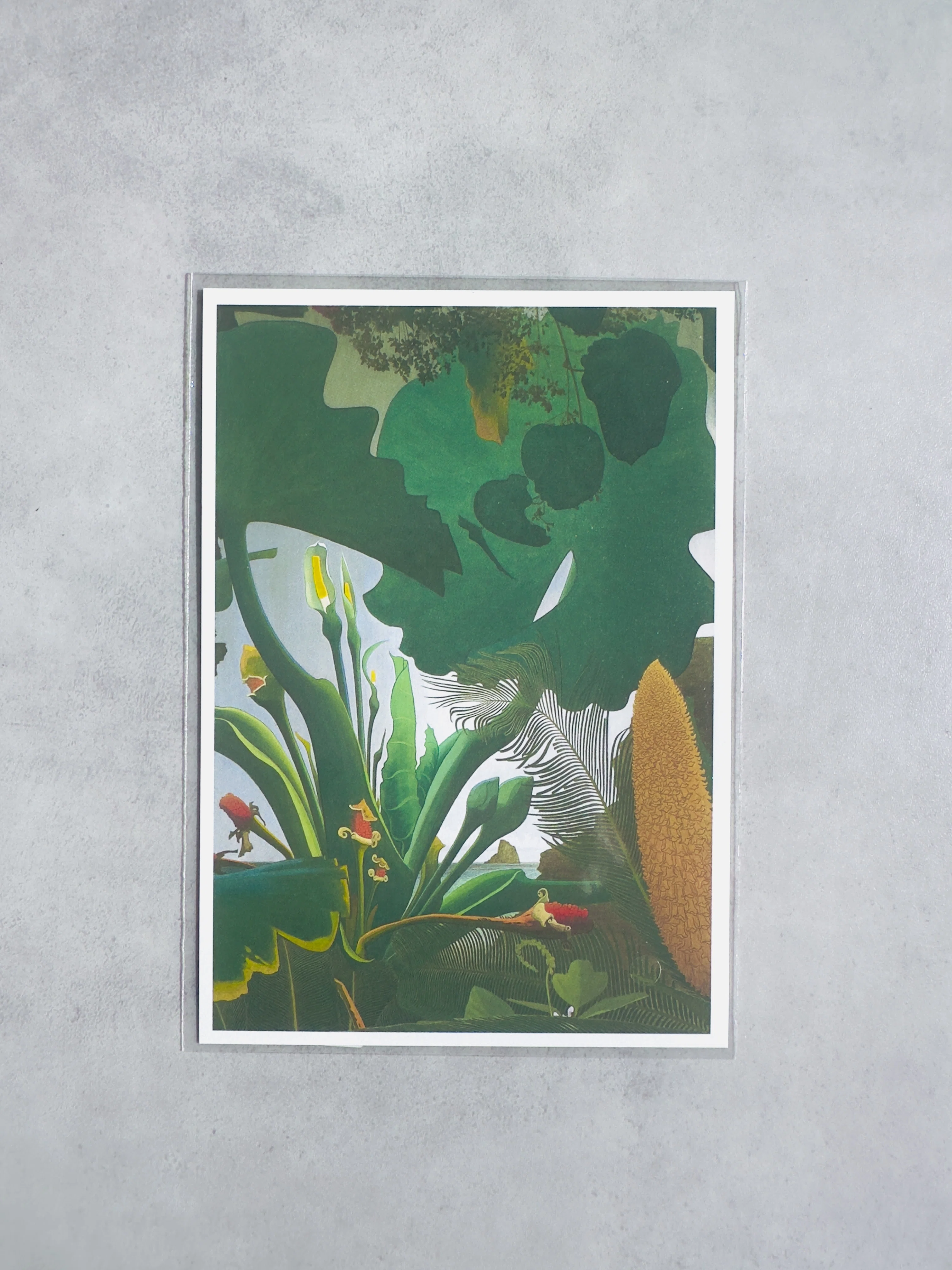 僕は『己の道』を歩めているだろうか？／田中一村展／東京都美術館