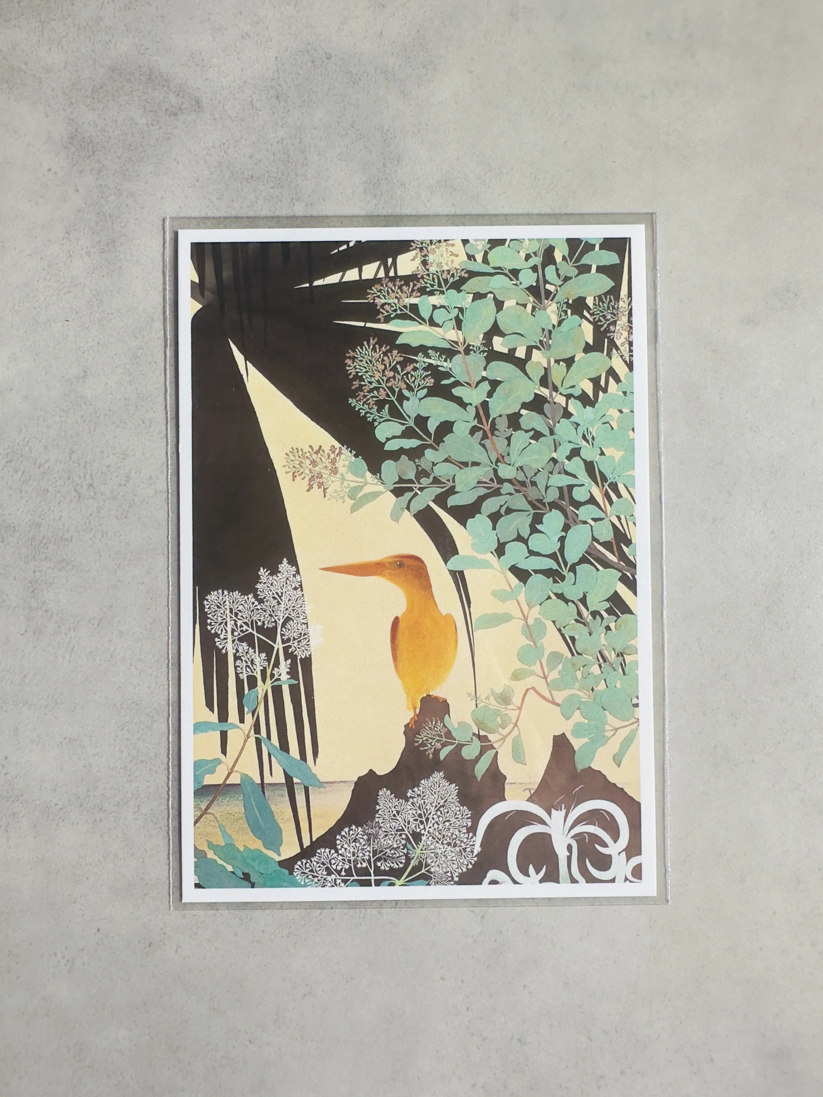 僕は『己の道』を歩めているだろうか？／田中一村展／東京都美術館