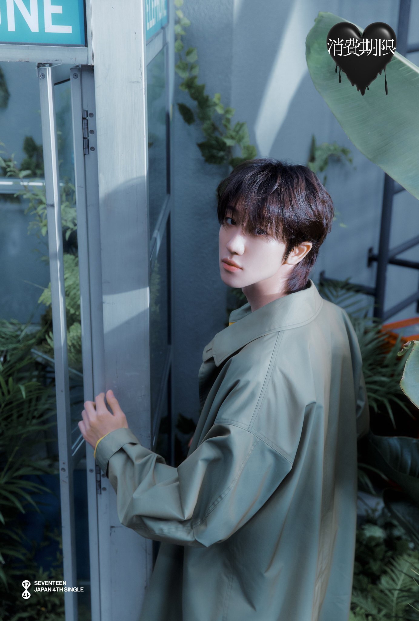 SEVENTEEN THE 8 'STARDUST' 1st EP CHINA①｜N̲a̲n̲a̲∞̲