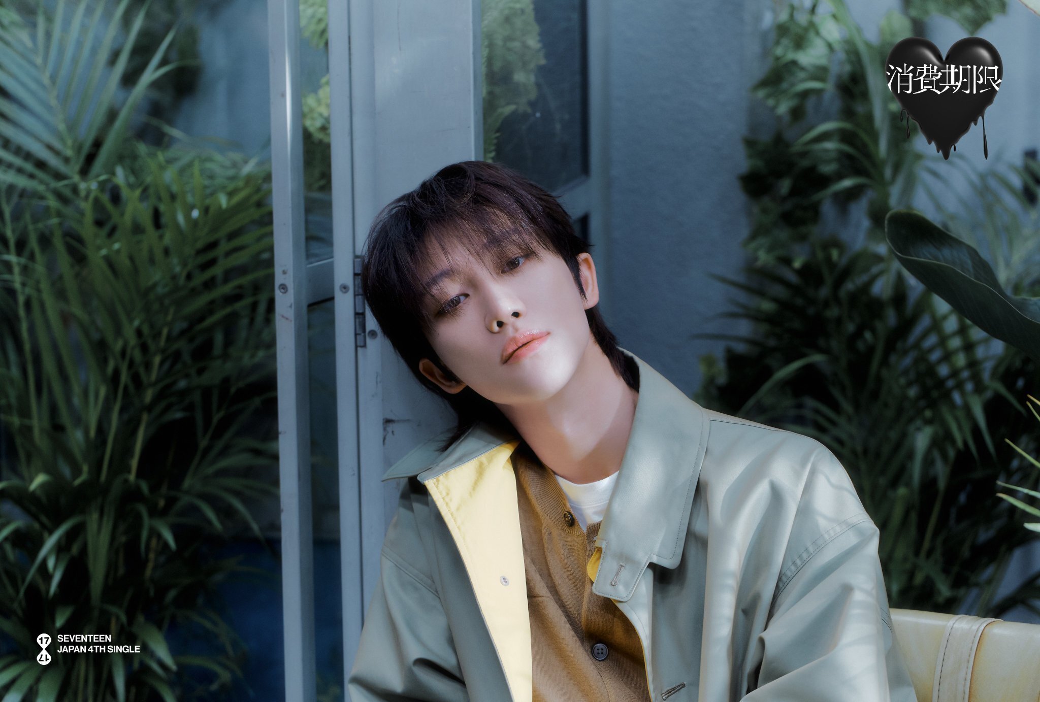 SEVENTEEN THE 8 'STARDUST' 1st EP CHINA①｜N̲a̲n̲a̲∞̲