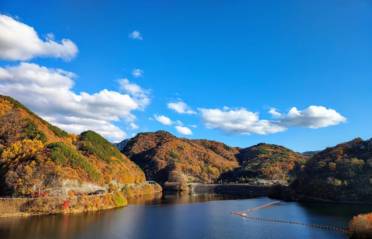 津久井の風景画（晩秋 農道） しろ