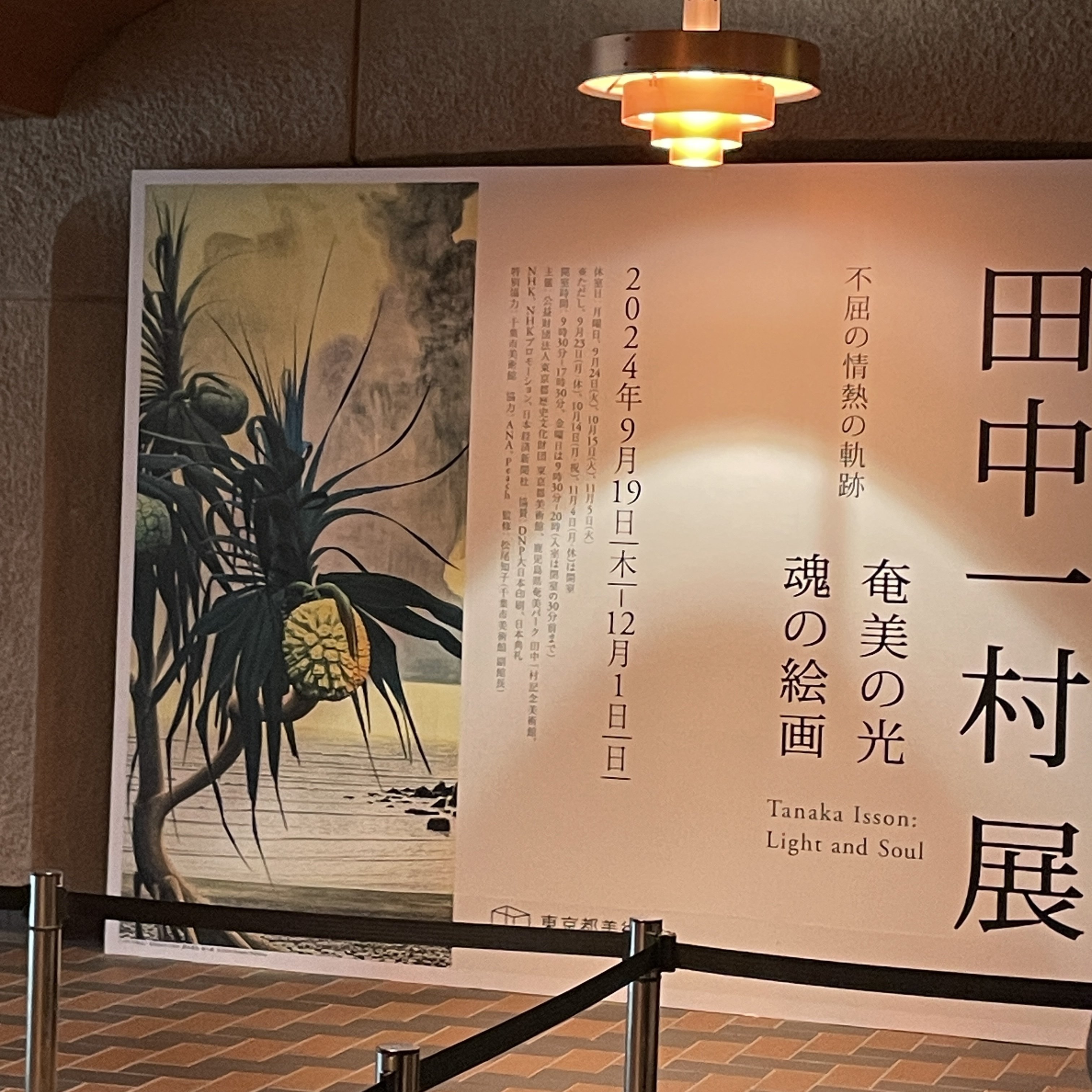 田中一村展に行ってきた日｜小豆の手