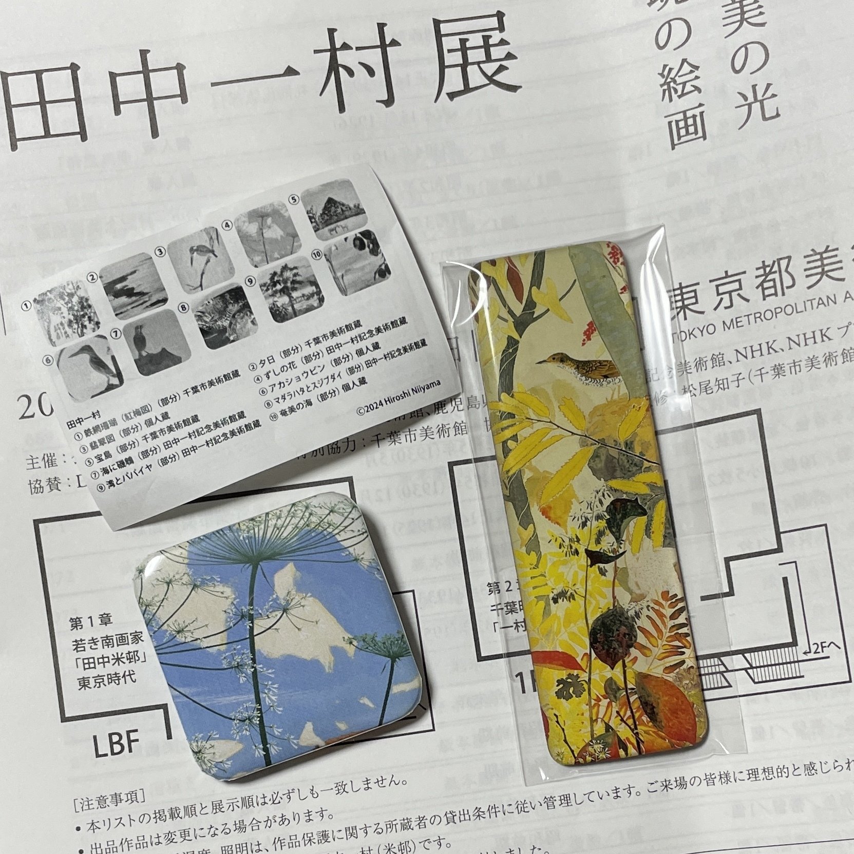 田中一村展に行ってきた日｜小豆の手