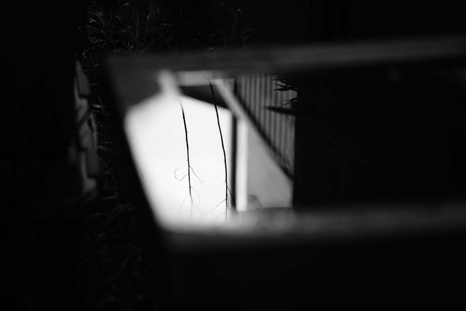 戦前型 Contax II とレンズ群｜光画日々想