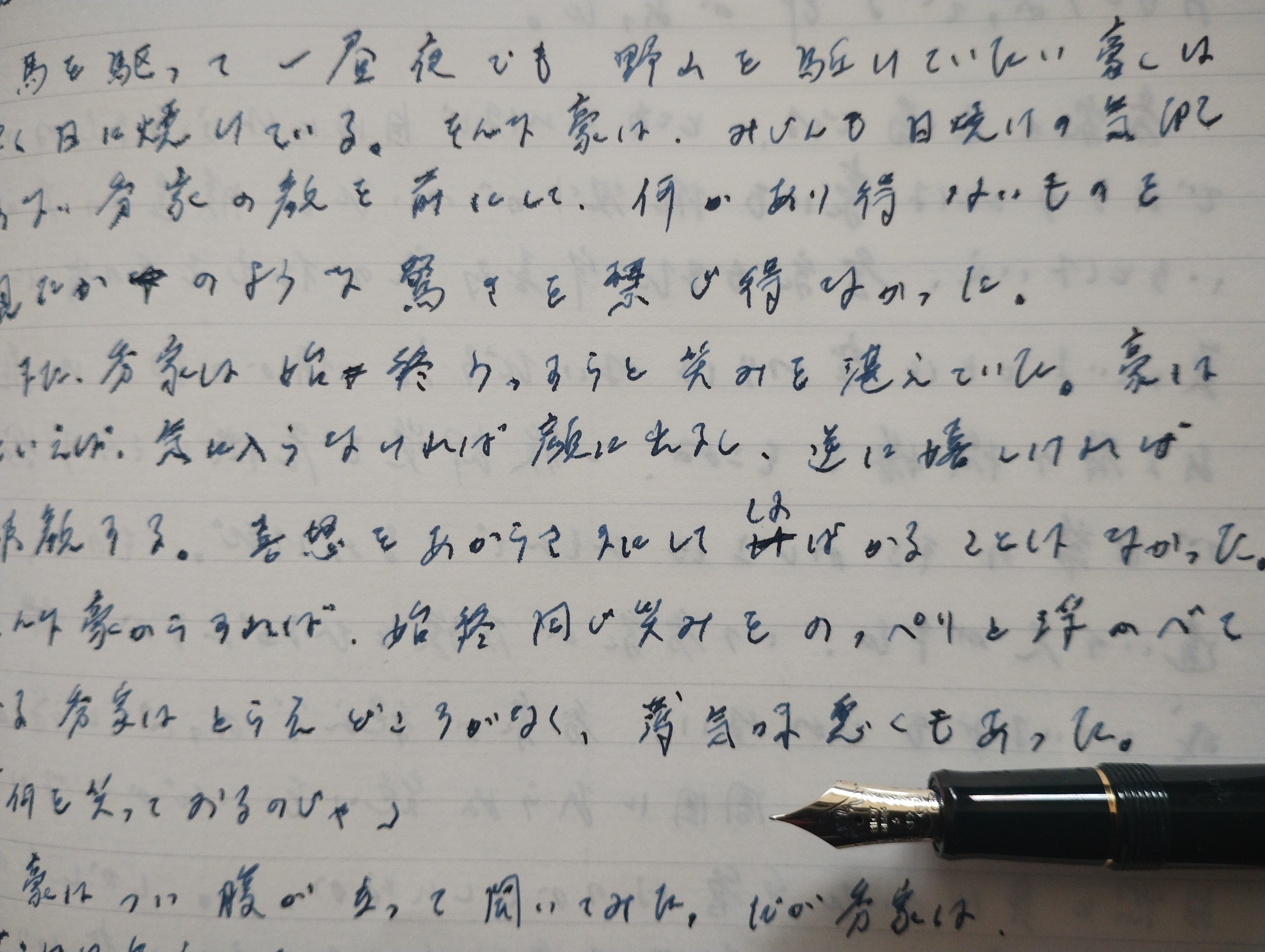 カスタム74 字幅sm 最後の万年筆」カスタム74を手にして思うこと - 黒猫陛下の書斎