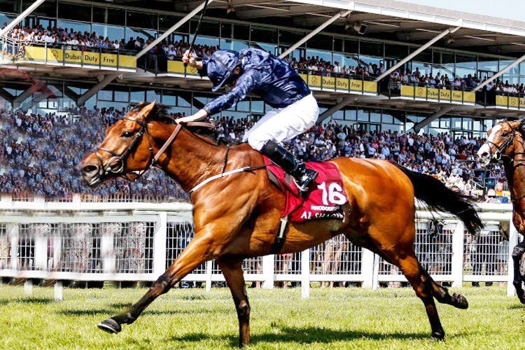 オーギュストロダンの蹄跡 〜ディープインパクト最後にして最大の衝撃