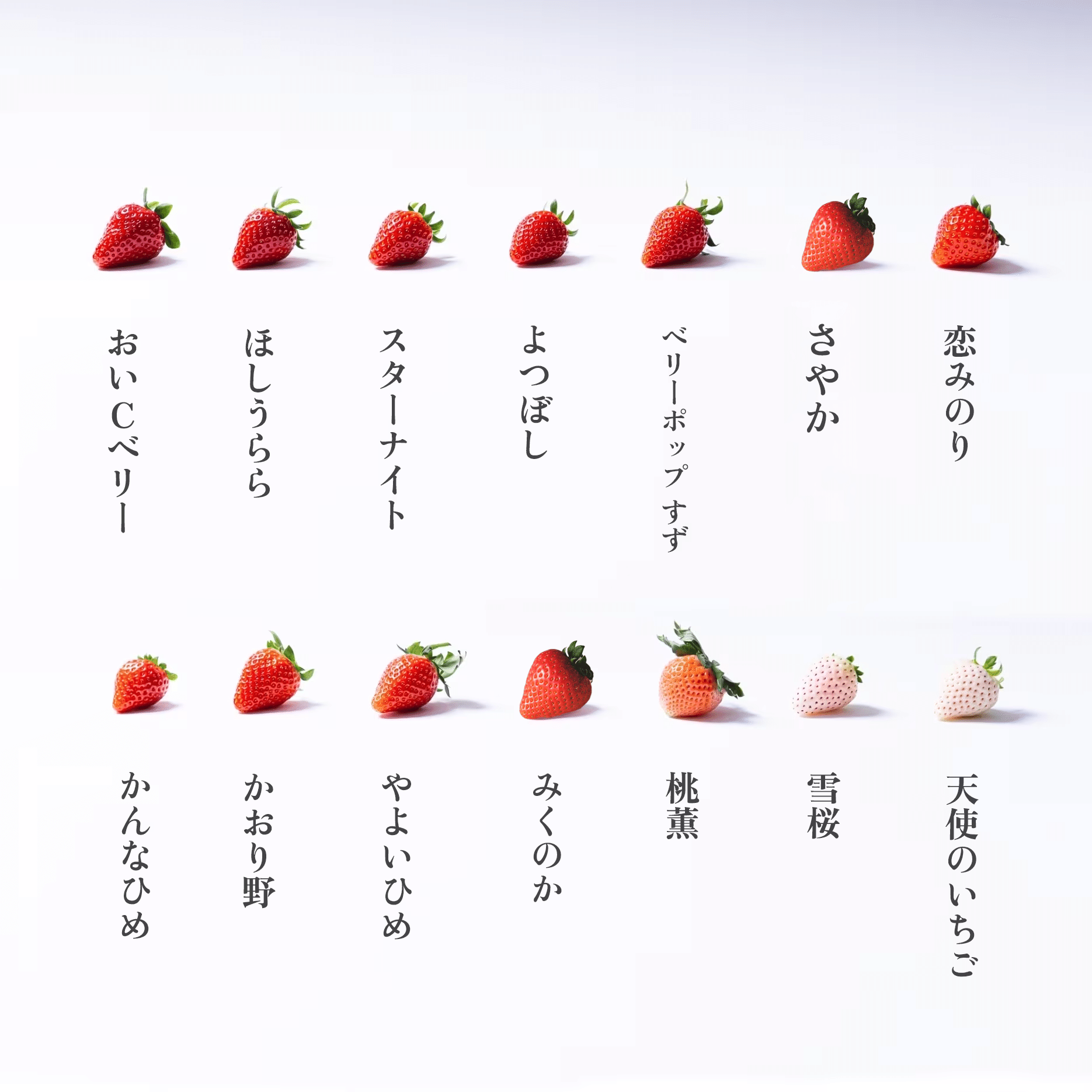 Lookbook｜苺屋あとりゑ