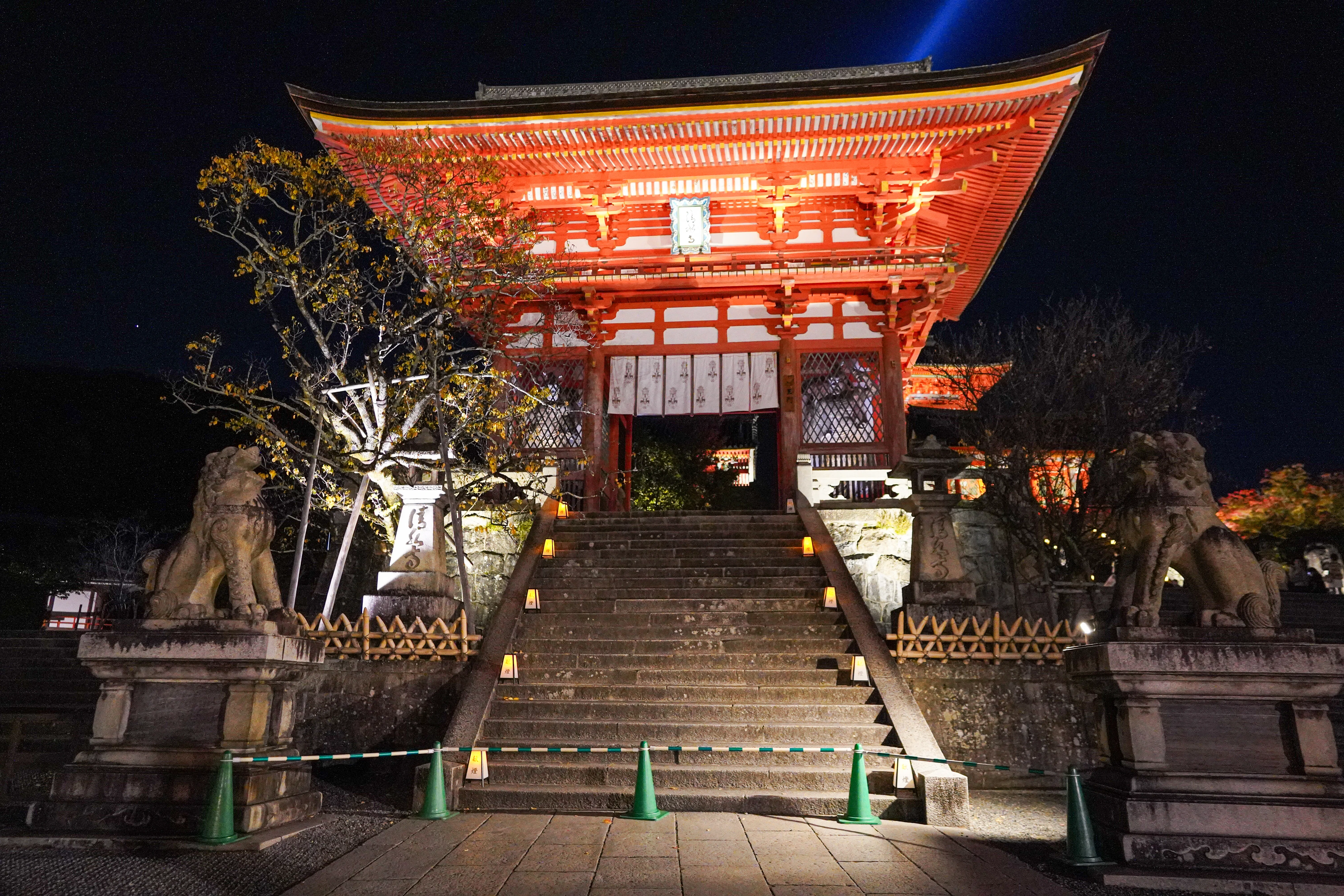 清水寺の夜間拝観・成就院特別公開へ｜久保田ひかり｜CREMONALABO
