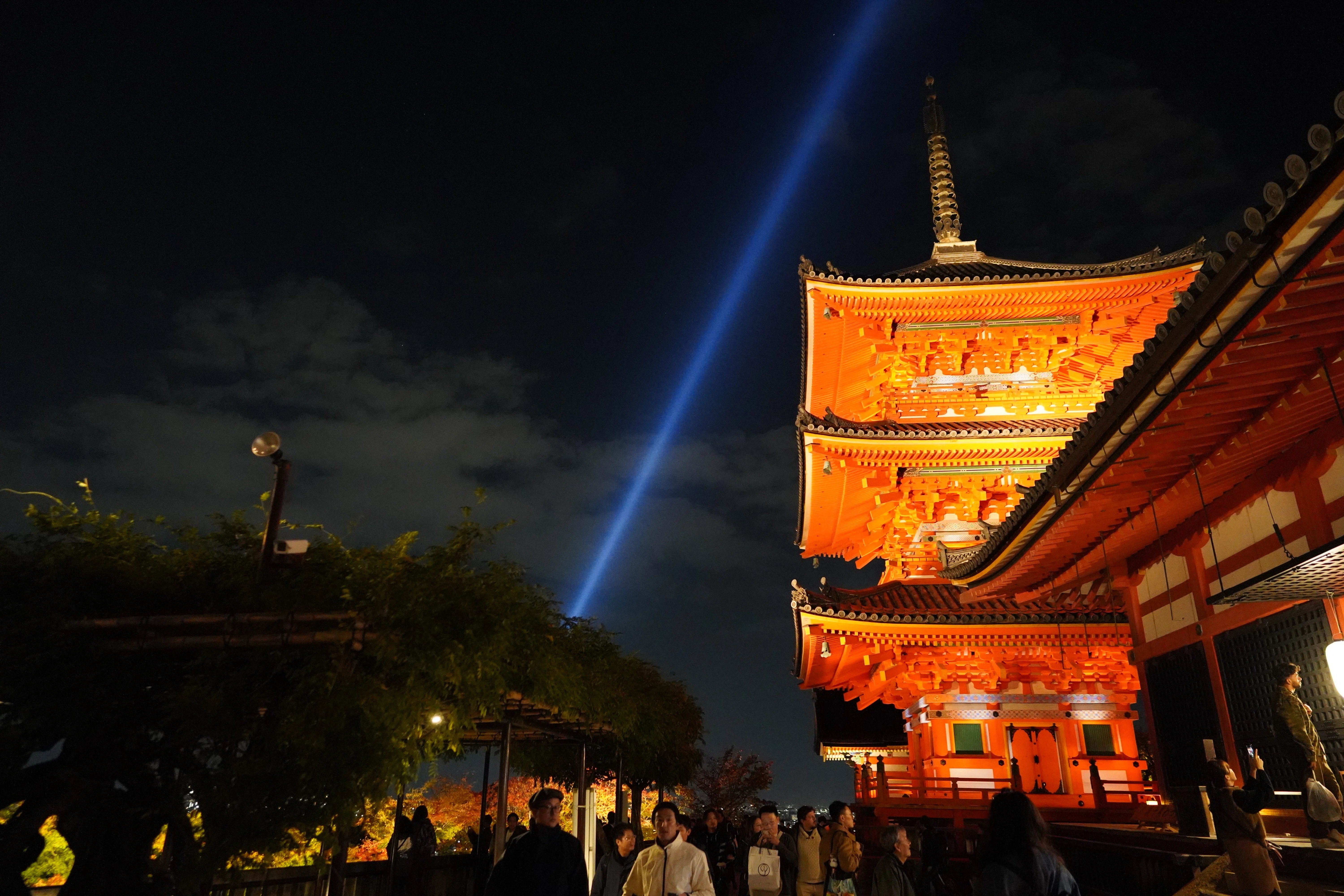 清水寺の夜間拝観・成就院特別公開へ｜久保田ひかり｜CREMONALABO