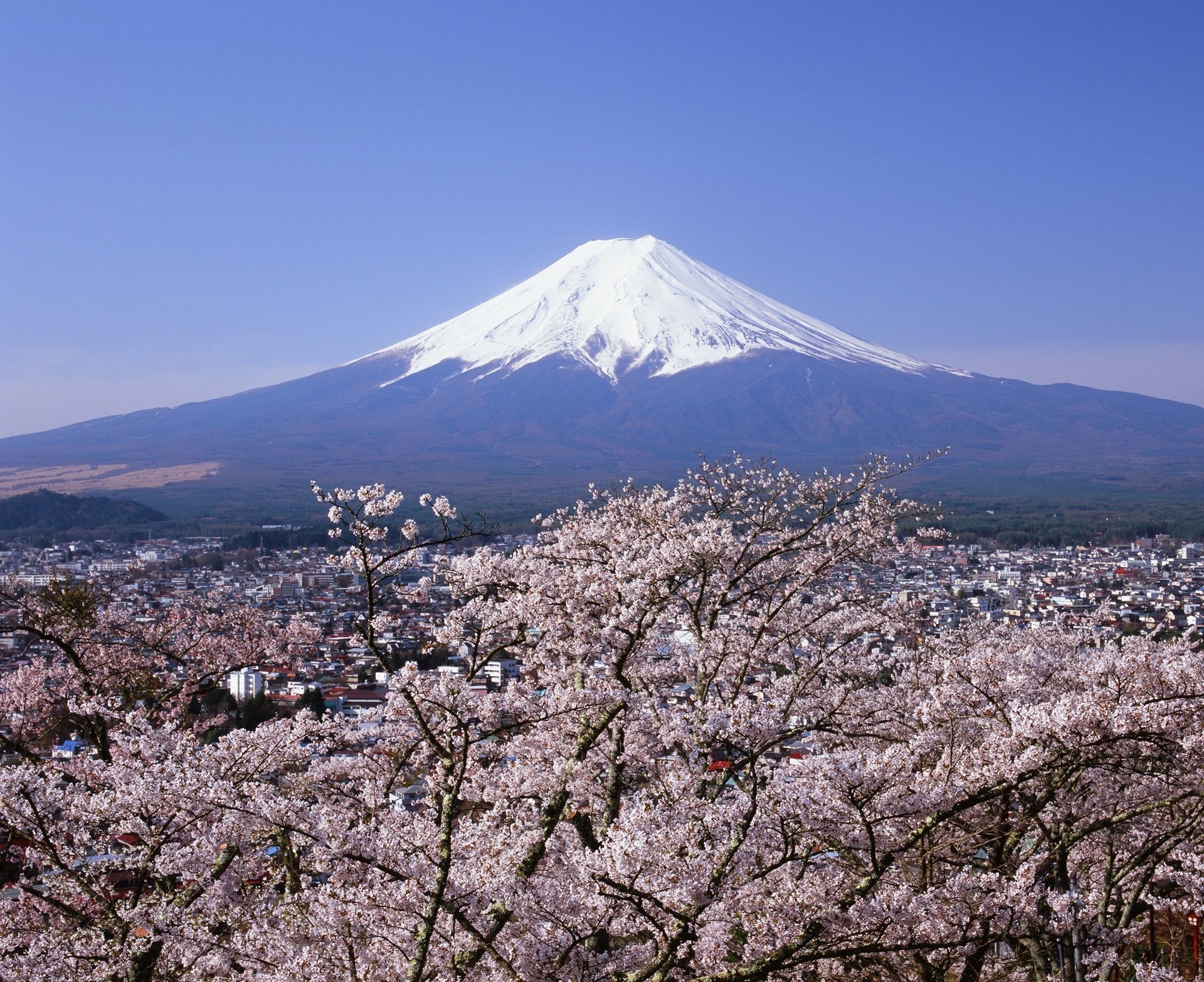 ●『桜と富士山』●がんどうあつし写真撮影・編集落款サイン入り20枚限定A4額装品 ○『桜と富士山』○がんどうあつし写真撮影・編集落款サイン入り20枚