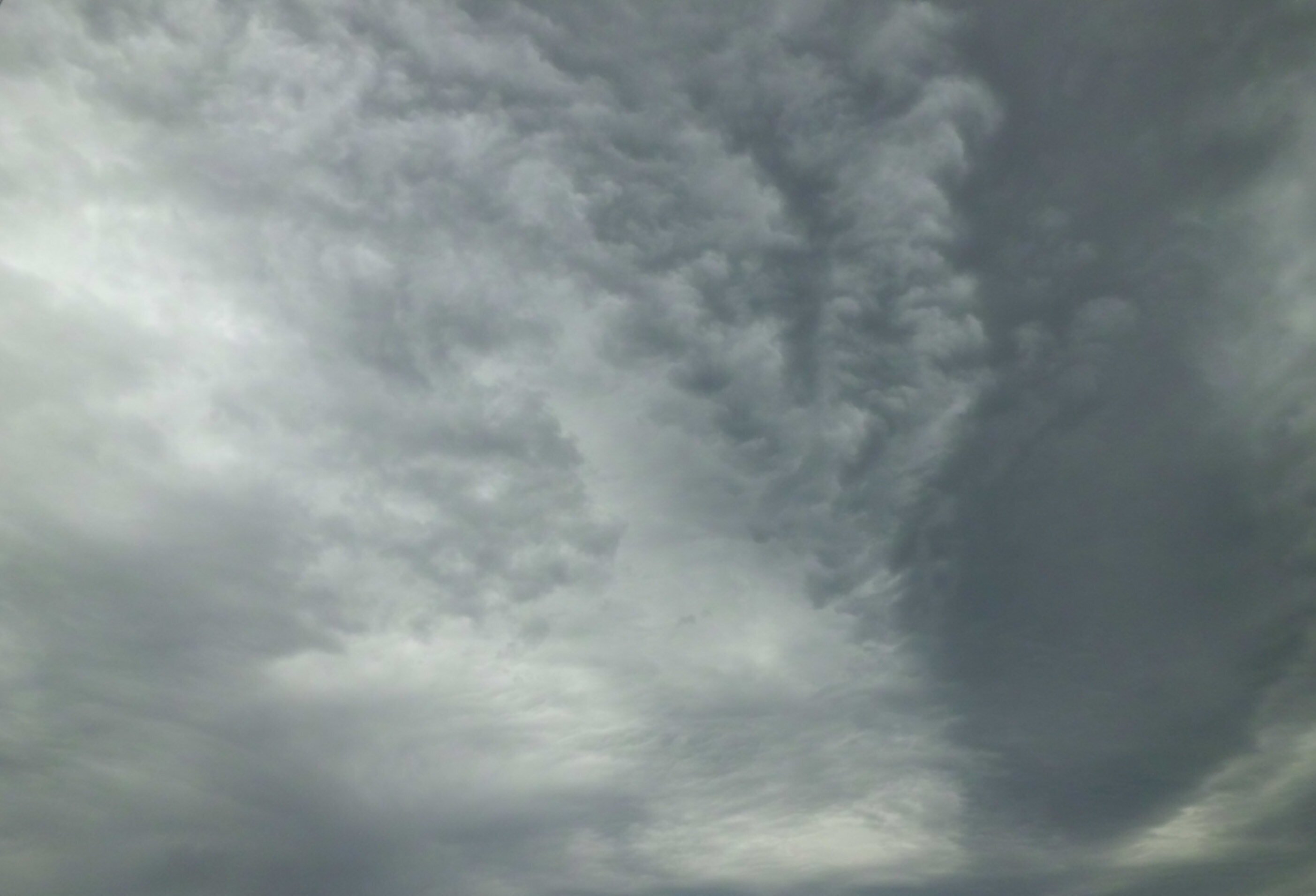 雲 雲Nubes_2016.6.25｜薄井 灌 Kan Usui