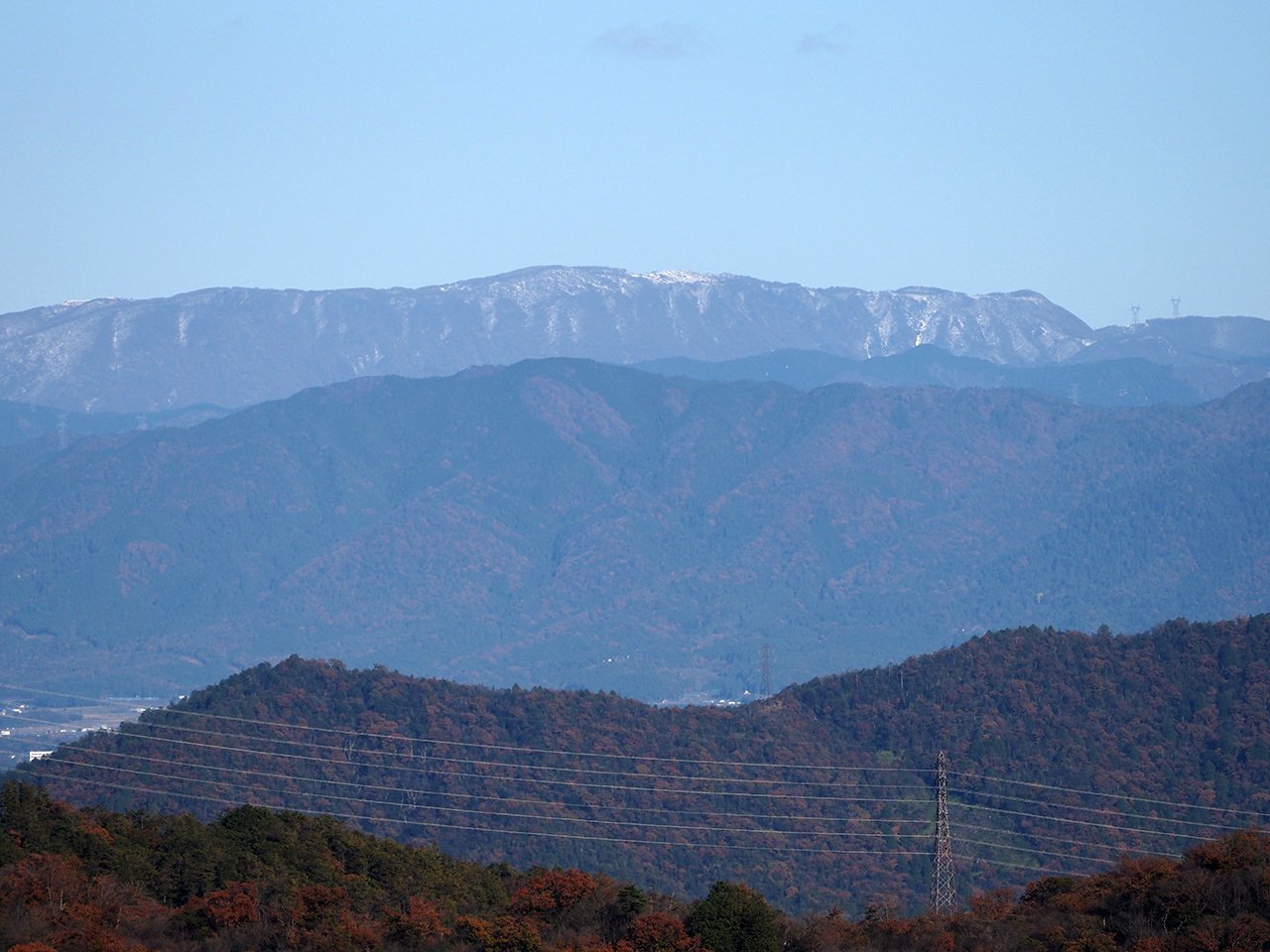 【感謝2000人フォロワー】⑧白中斑　アガべ　氷山　太陽神　TC2株 ♯60 コラム8 天山からの眺望｜sasayan