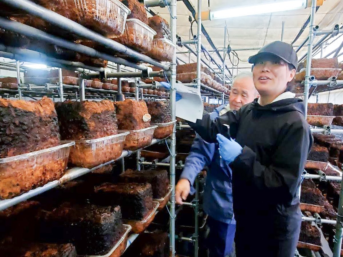 第三回】農業体験研修の様子と、浄法寺の雑穀農家「田口農園」さんの
