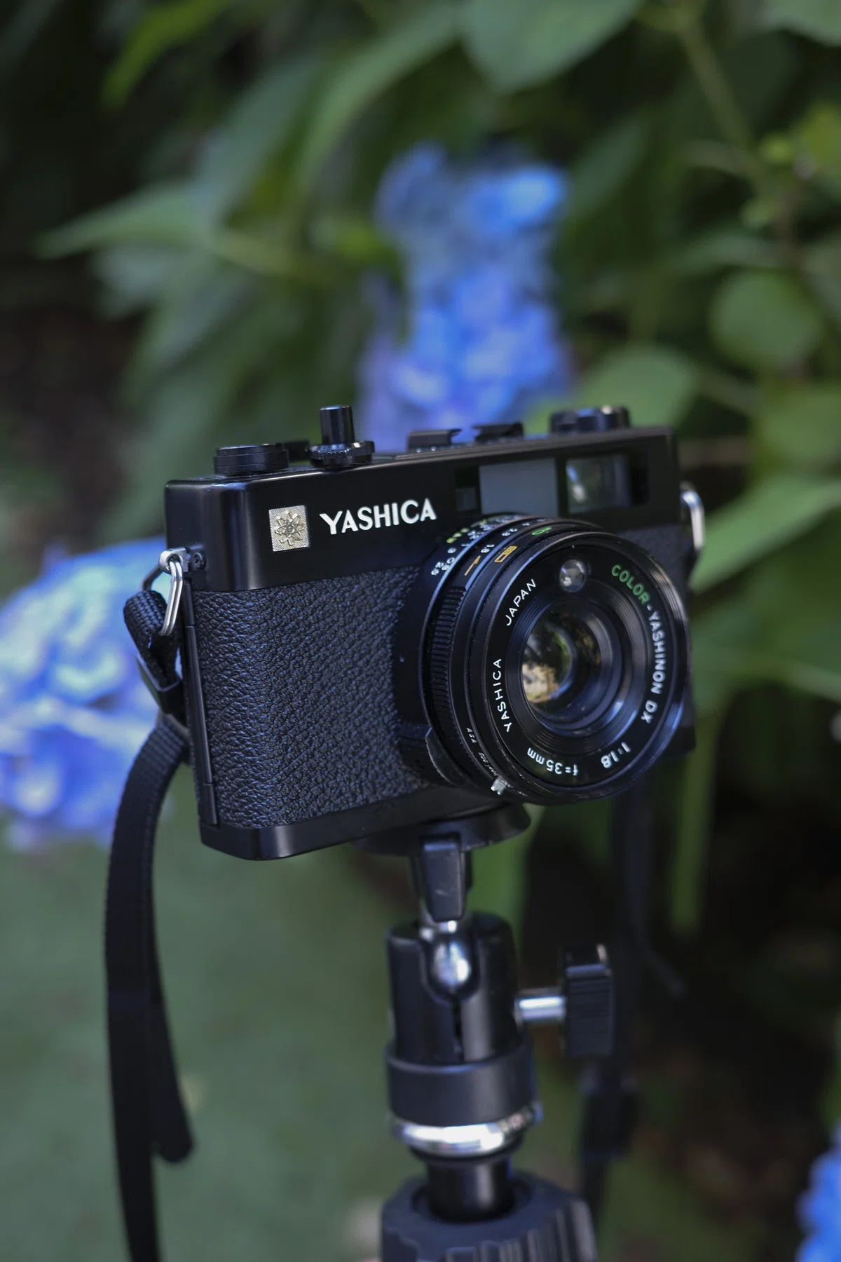 YASHICA ELECTRO 35 CCNを使ってみた。｜S K(shimkarom)