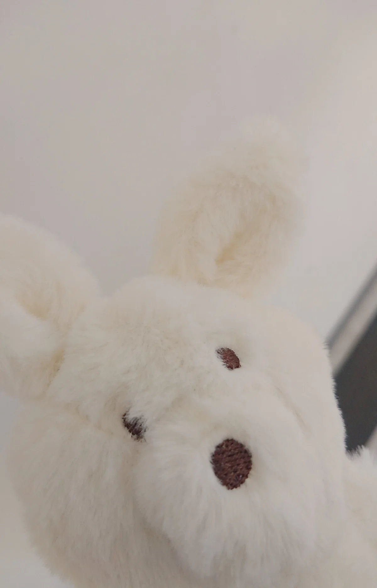 3COINSで買ったうさぎのぬいぐるみが可愛すぎる話｜ひさとろサーモン