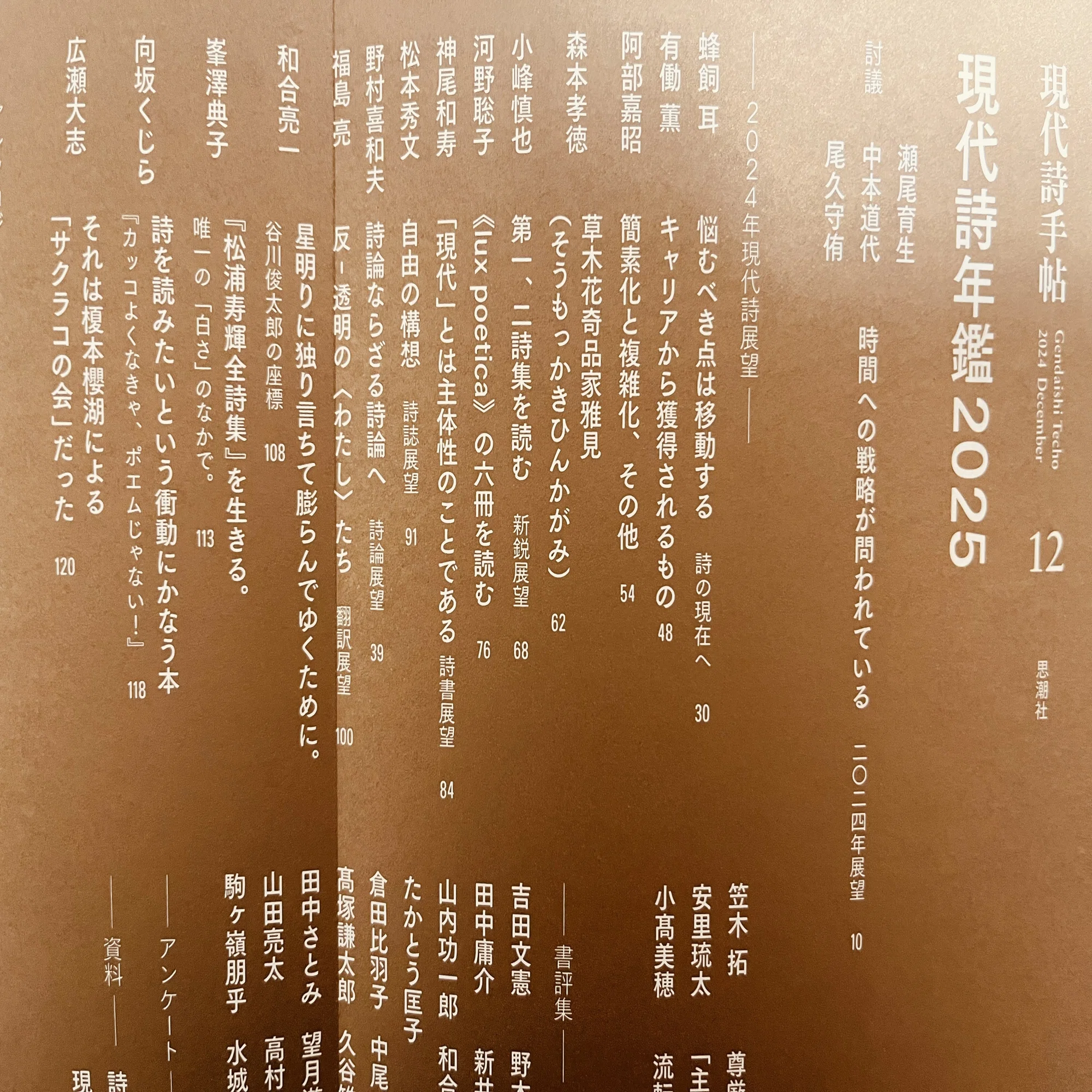 松浦寿輝全詩集』のこと｜峯澤典子 Noriko Minesawa