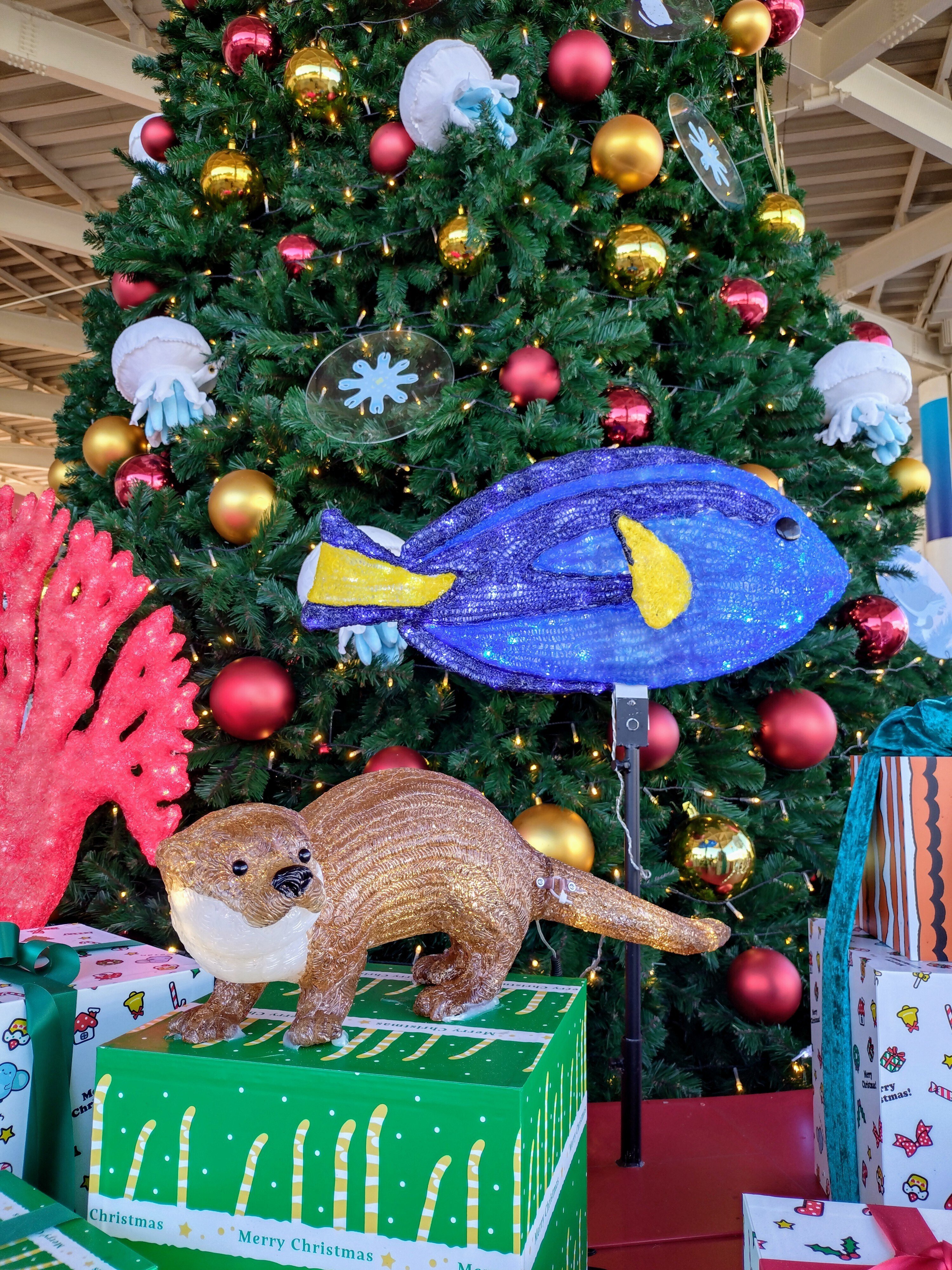 新江ノ島水族館 2024年11月27日｜ウソソ（カワウソファンの園館ノート）