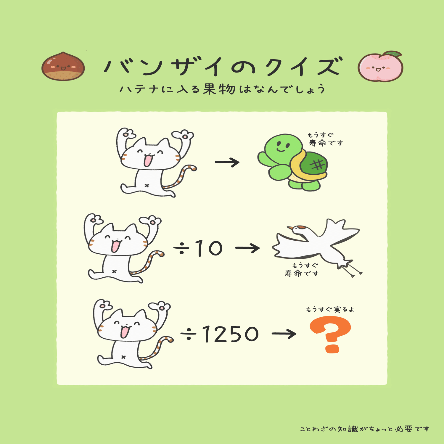 芹沢謎【833】｜芹沢仁菜