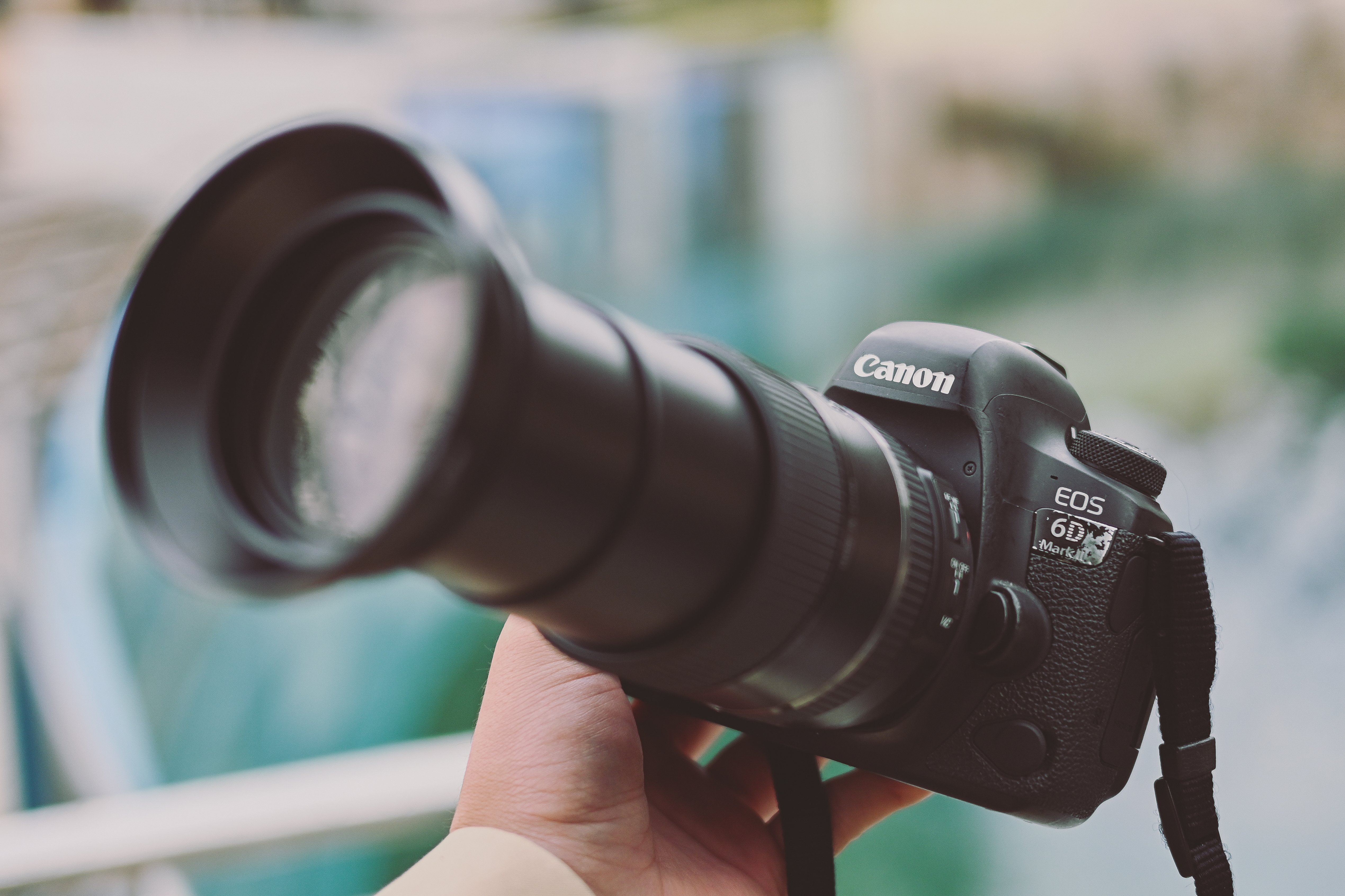 28-300mm】AFのズームレンズと動物園｜もんぶらん