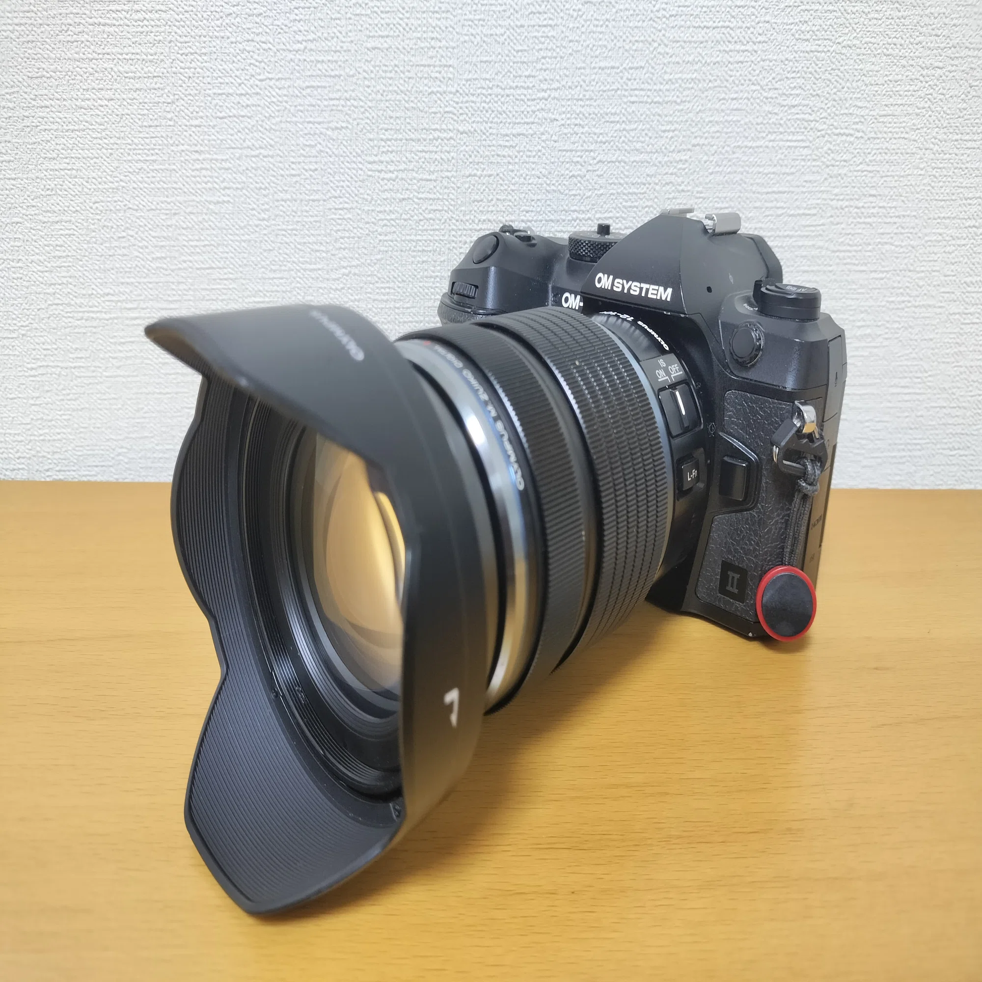 OM-1 mark IIとM.ZD12-100mmF4PROで紅葉の宮島旅行 / OM SYSTEM