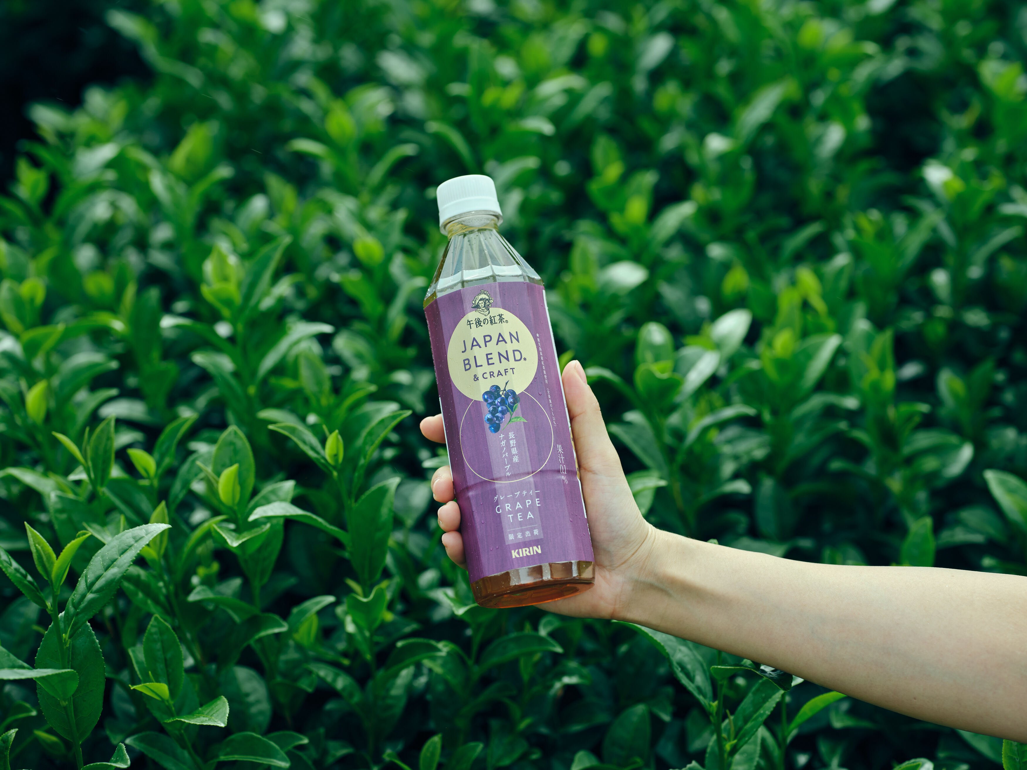 楽天市場】午後の紅茶 ストレートティー 1500mlペット【1500ml×8