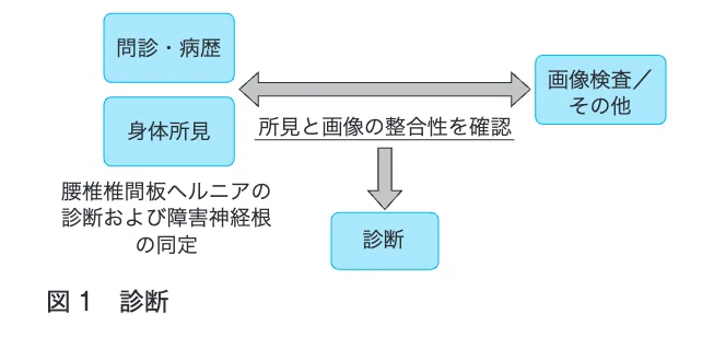 腰椎椎間板ヘルニアの診断フローチャート。問診・身体所見から画像診断へ進む流れ