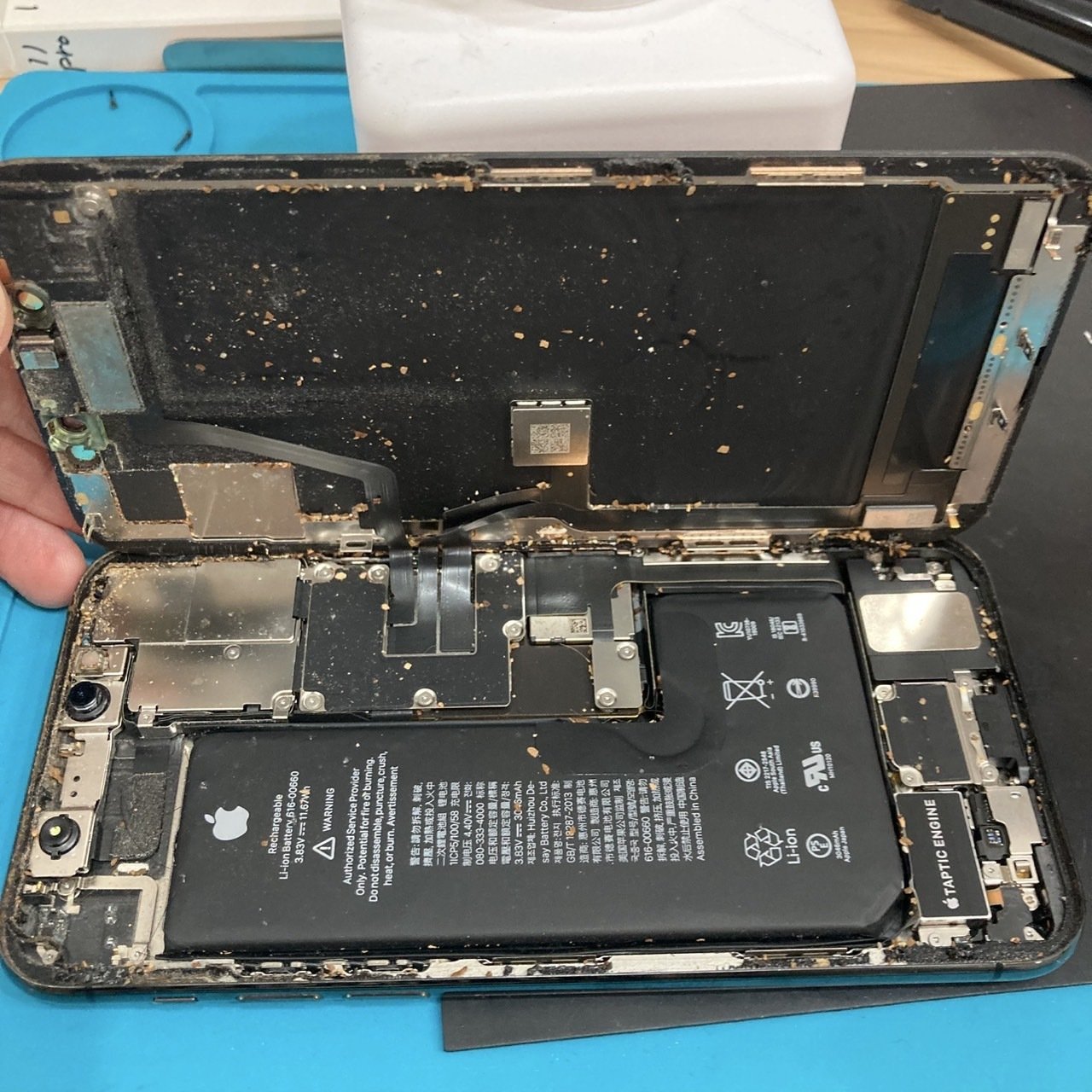 iPhone8 64gb【ジャンク】(31)