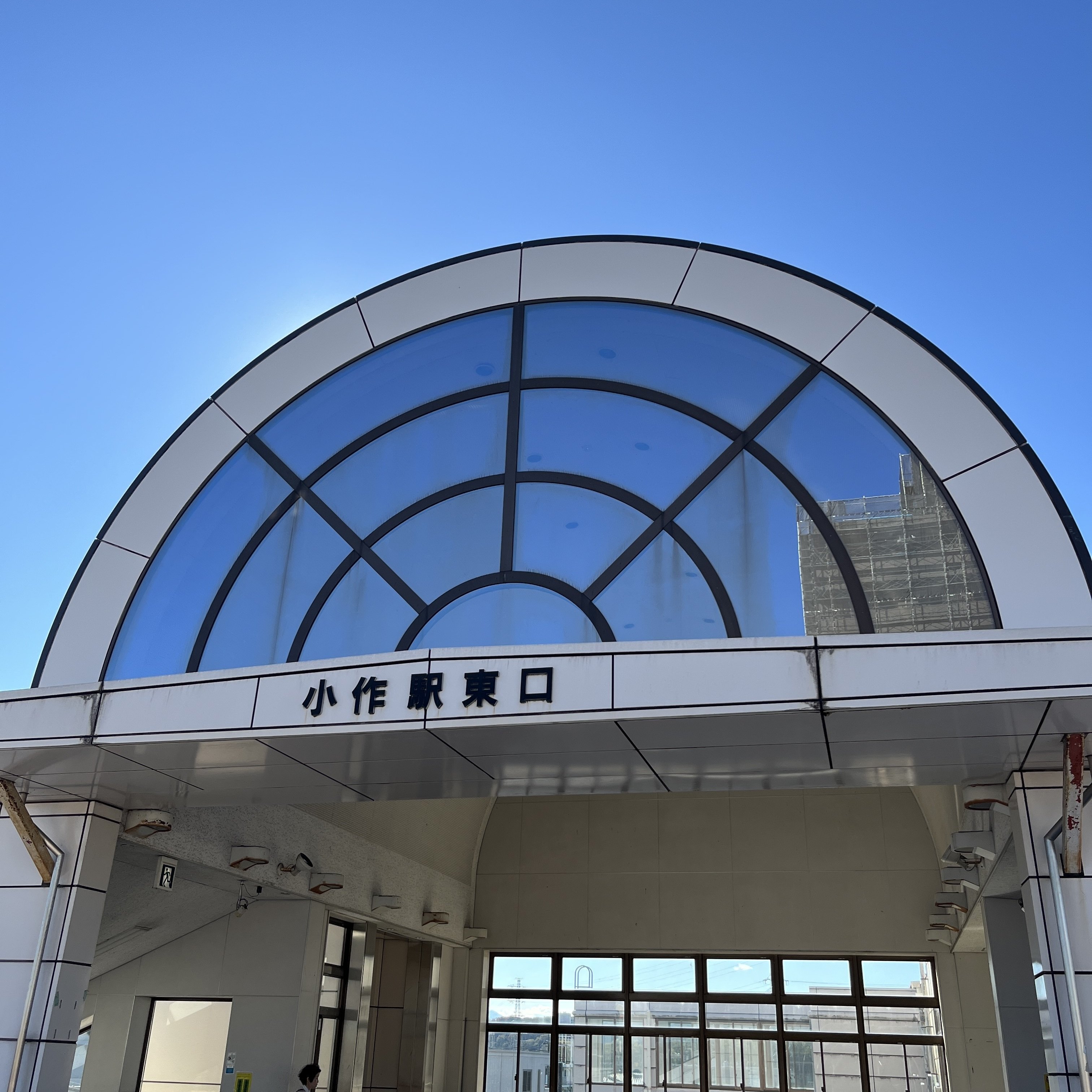 ぐっさん　青梅　訳あり　13キロ 楽天市場】青梅 訳ありの通販