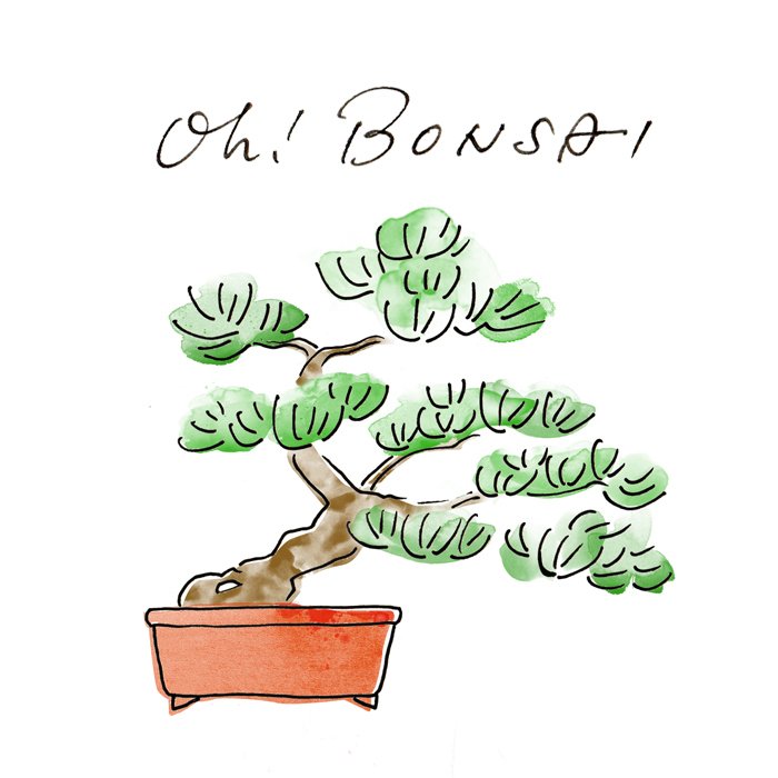 制作事例】盆栽ショップのロゴイラスト＆手描き文字｜ISAJI