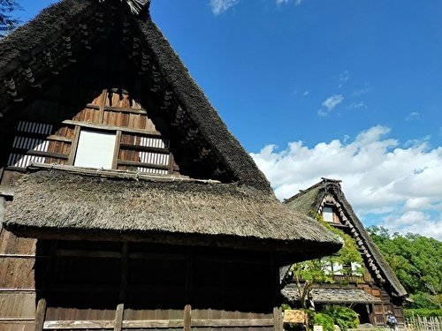 👣日本民家園・三渓園 川崎・横浜めぐり｜マリナデシコ