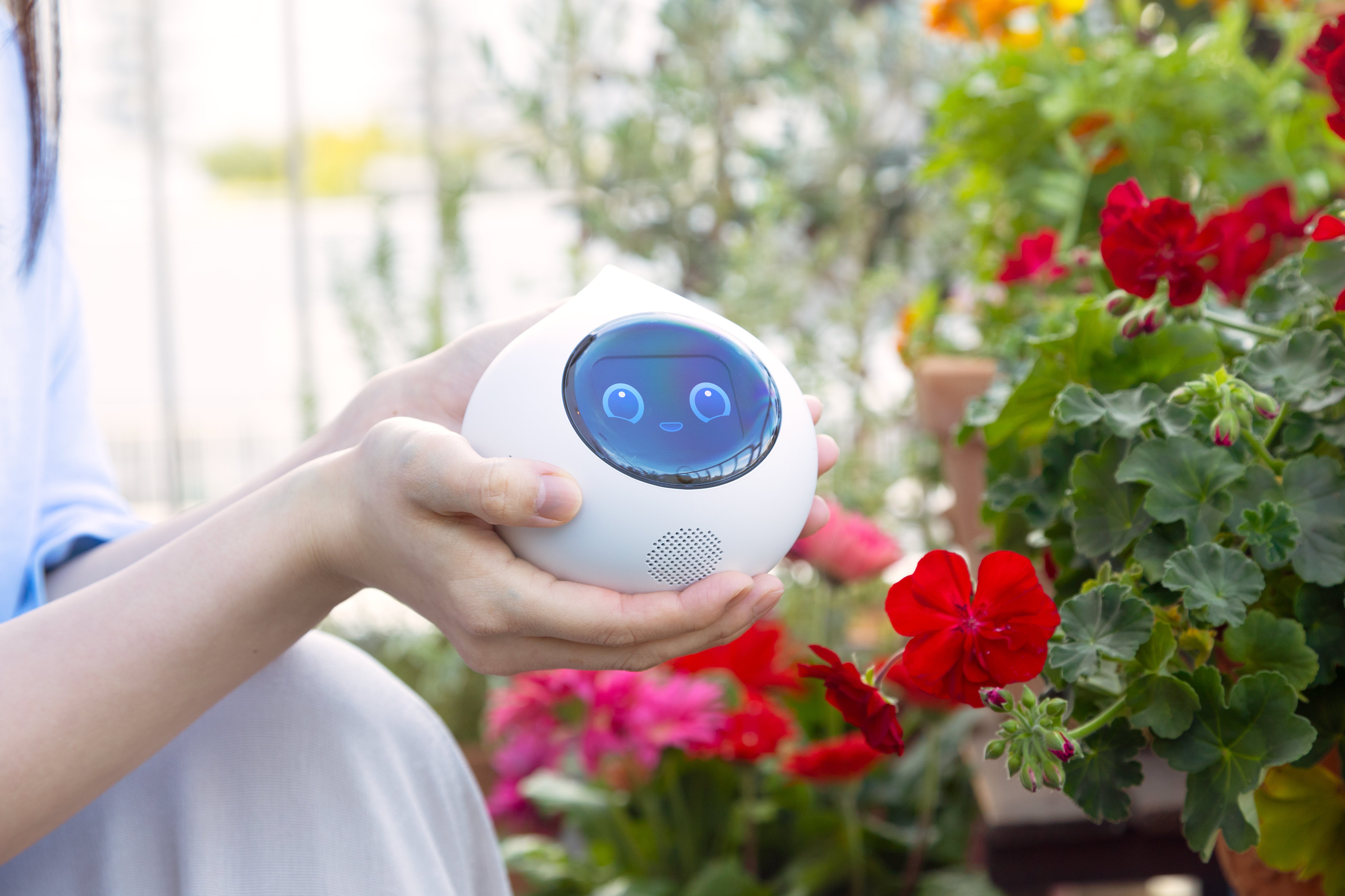 Romi Lacatanモデル サクラピンク 会話AIロボットRomi（Lacatanモデル） – Romiストア