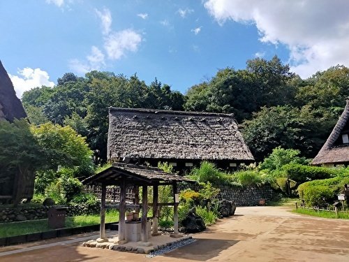 👣日本民家園・三渓園 川崎・横浜めぐり｜マリナデシコ