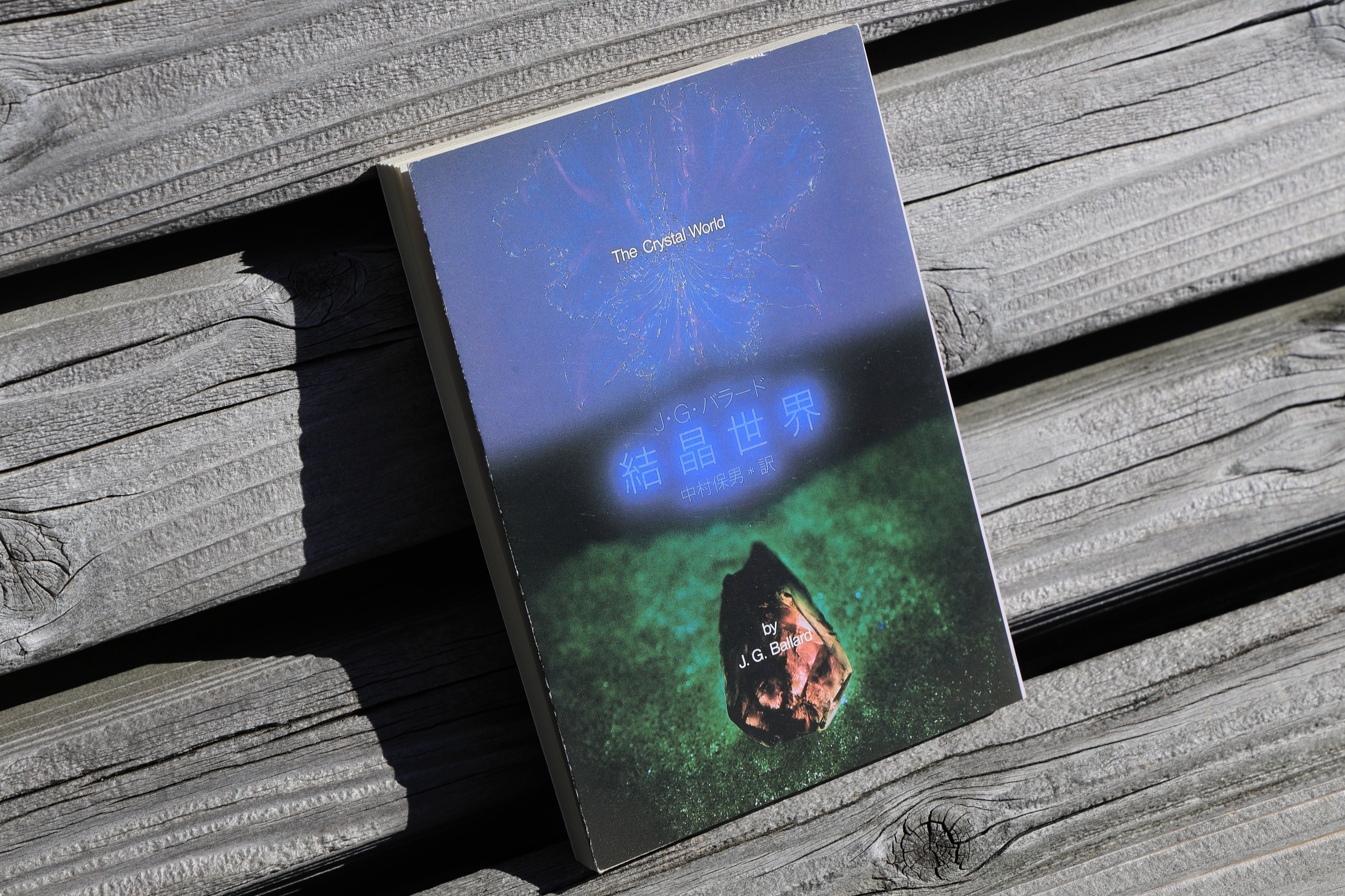 読書感想：J・G・バラード『結晶世界』｜氷月