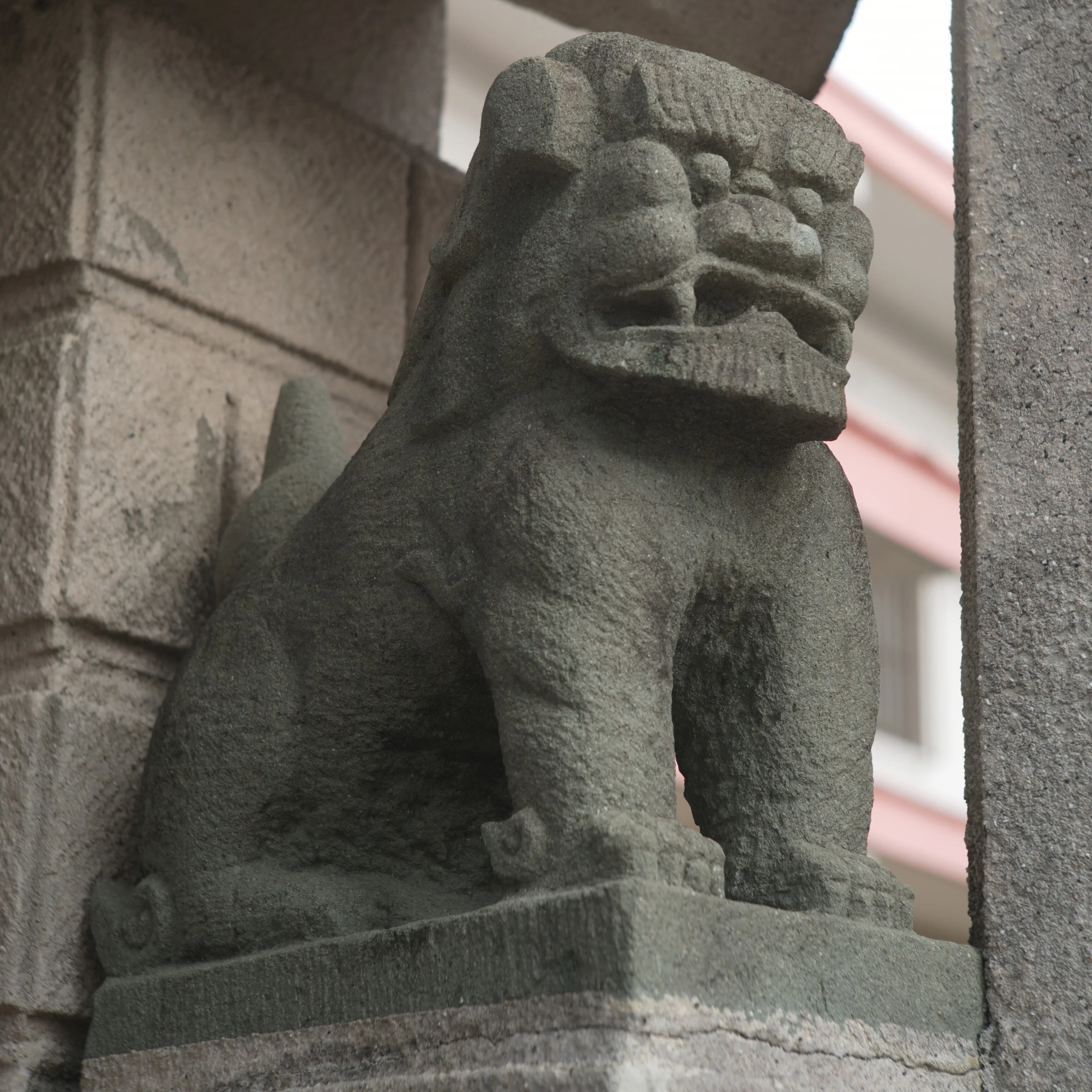 石造獅子等資料紹介】沖縄市内で発見された石垣島島内制作の石獅子