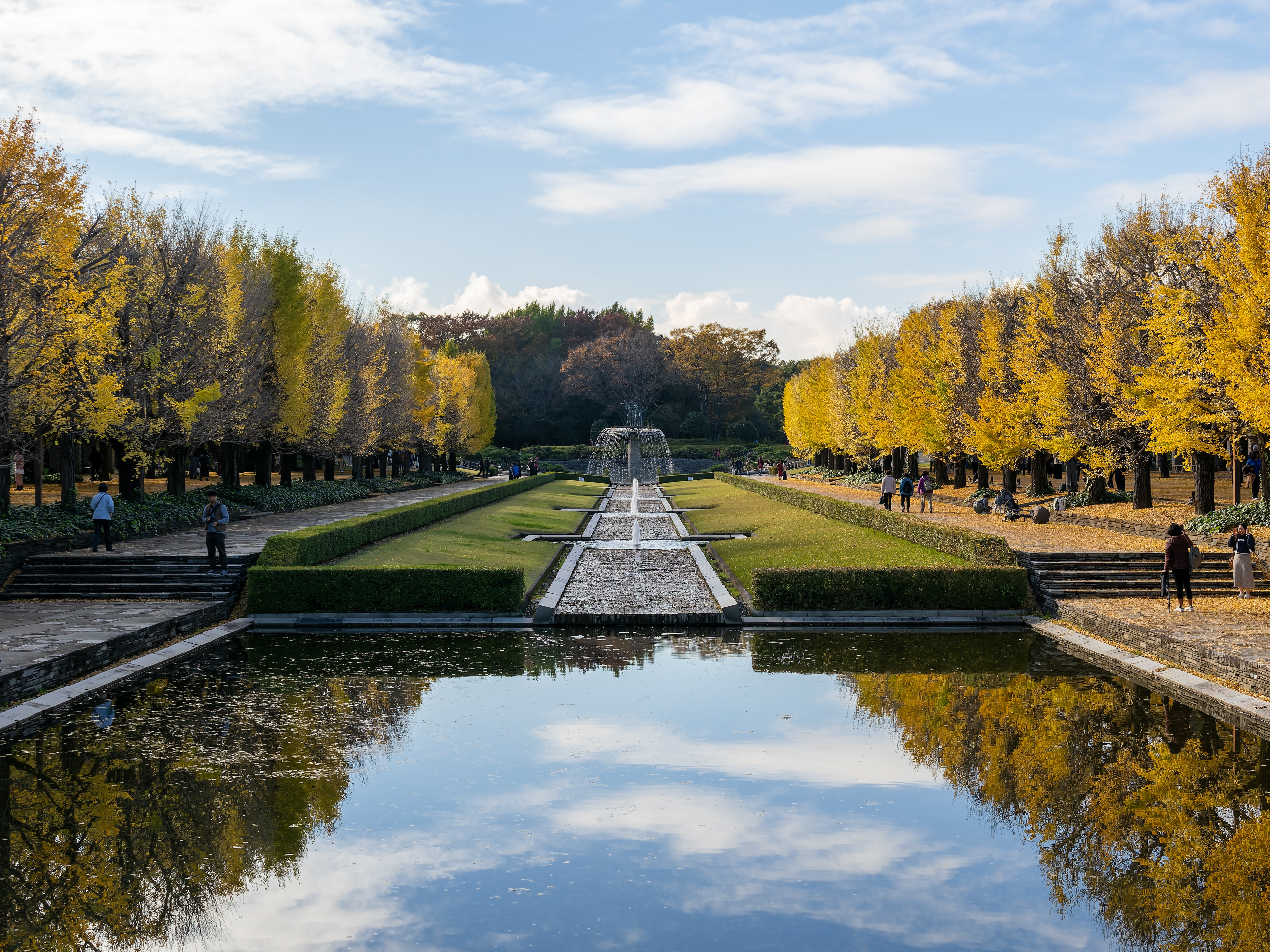 まだ見ぬ景色を求めて サイレンススズカ 2枚 PR プロモ 箔押し カメラ専門店 マップカメラ【公式】 on X: 