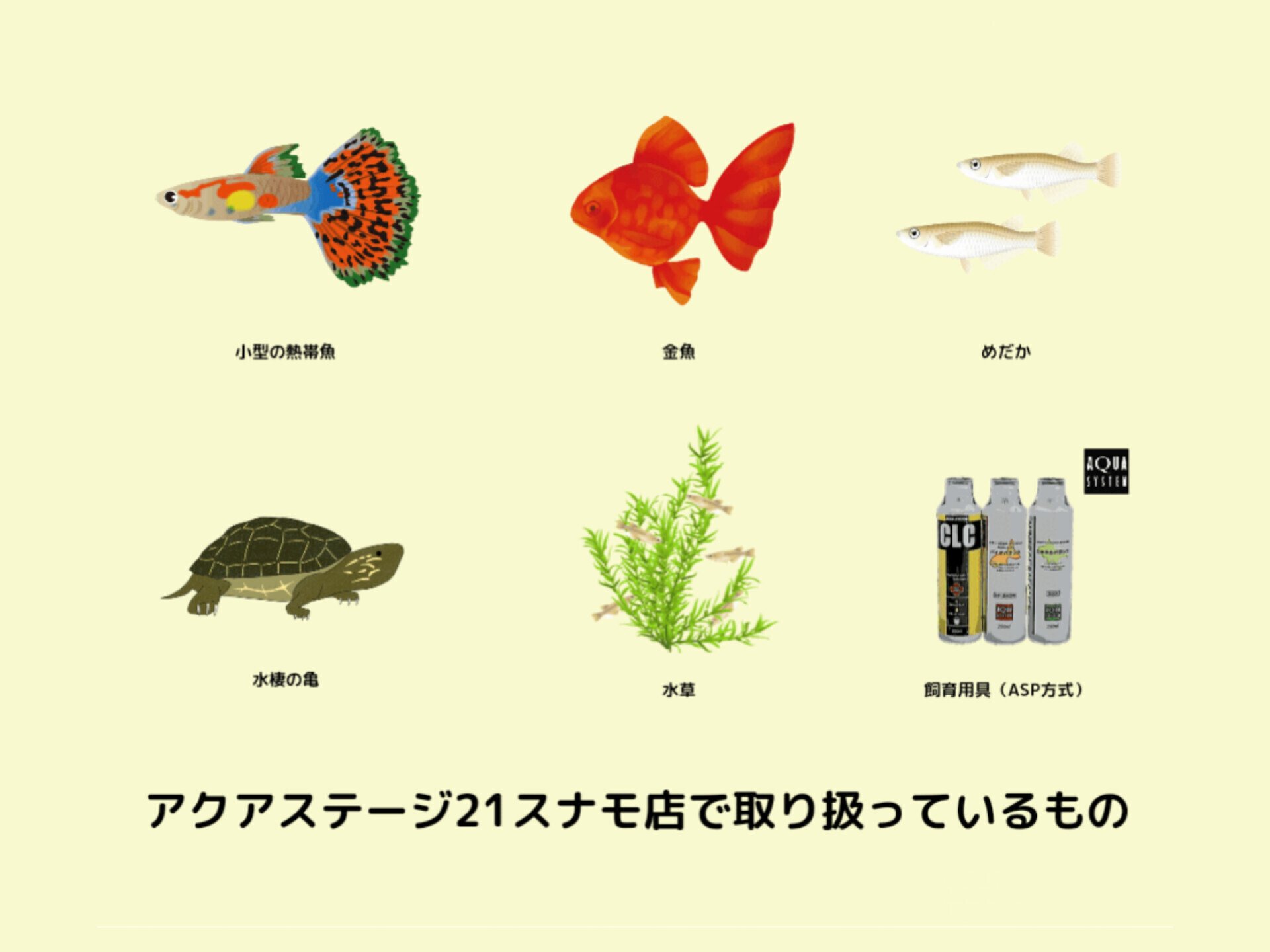 アクアステージ21 SUNAMO店です。｜アクアステージ21 SUNAMO店