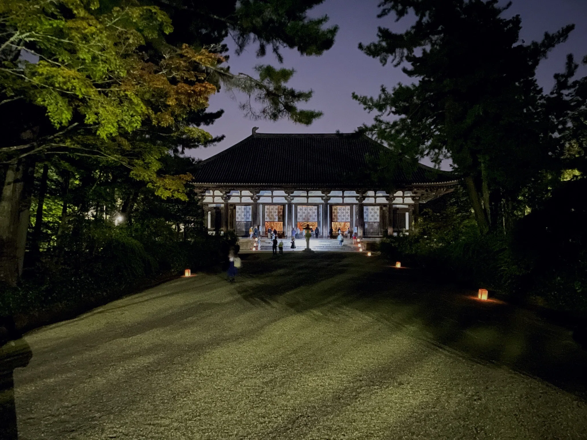 秋夜の奈良旅2024 唐招提寺｜美術館とお寺と猫