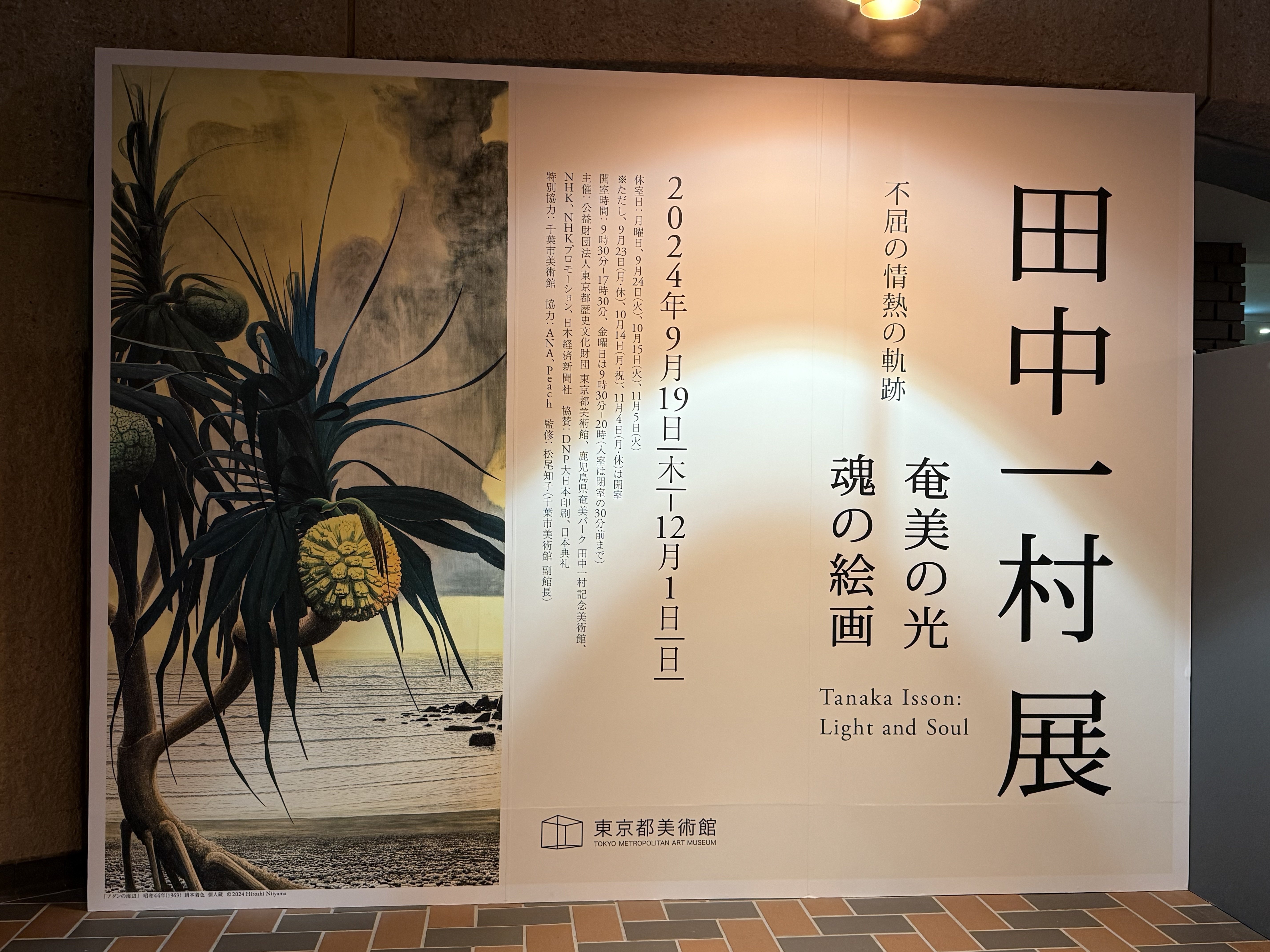 田中一村　色紙 田中一村の色紙8枚発見 「描いてもらった」奄美の寺に残された謎