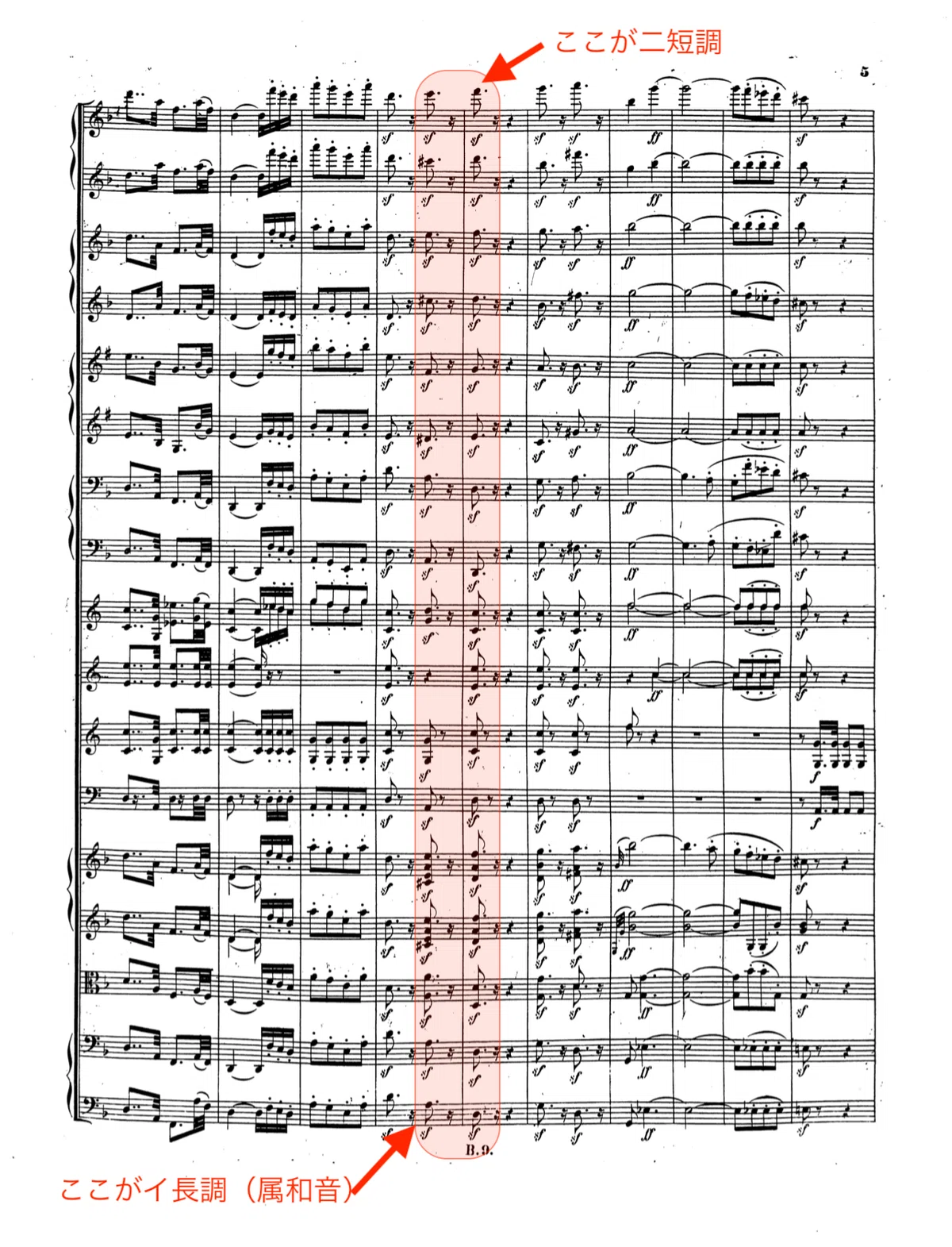今何度！？・・・そうね、5度！」〜ベートーヴェン「第九」冒頭の音程